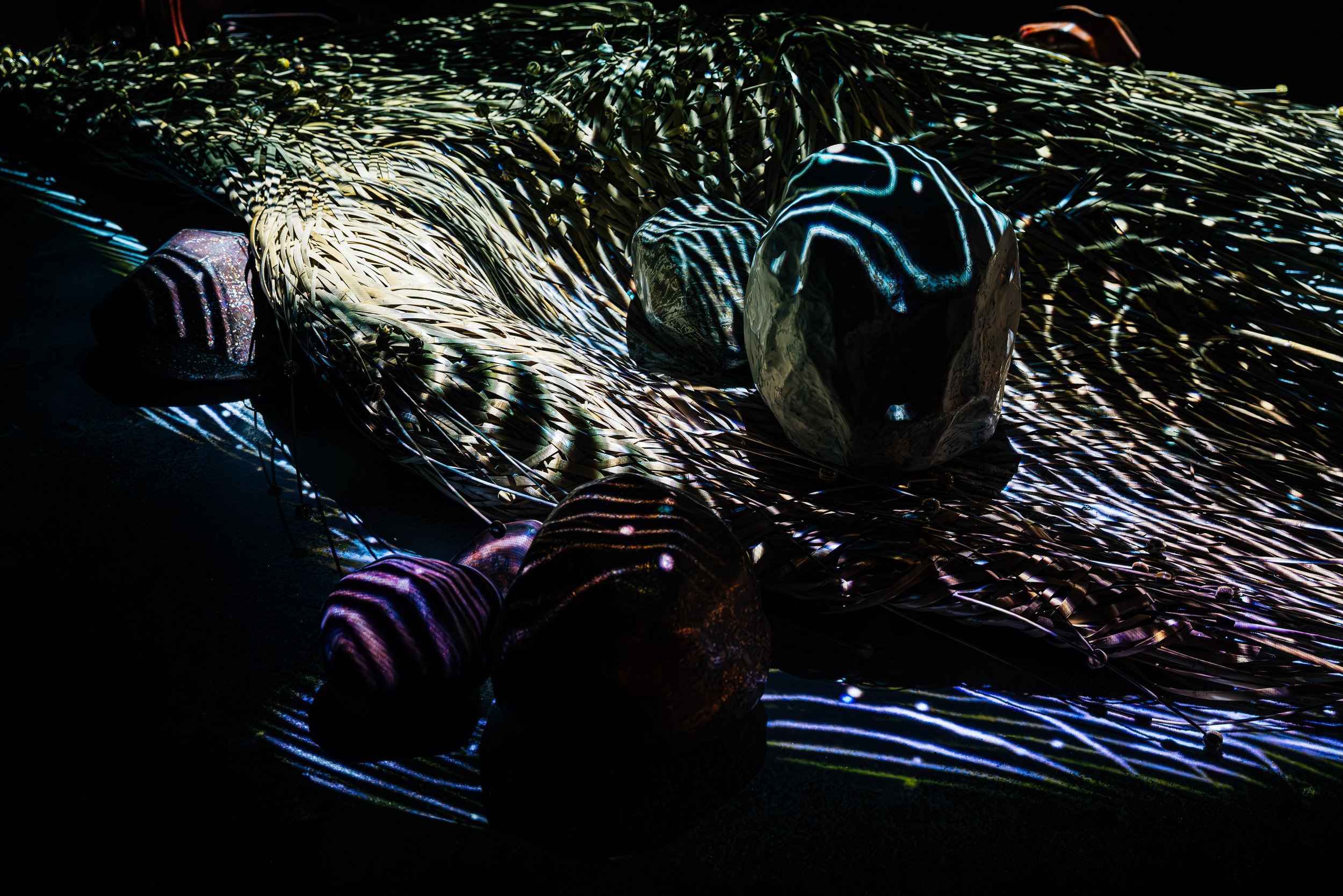 B1080920-Enhanced-NR.jpg