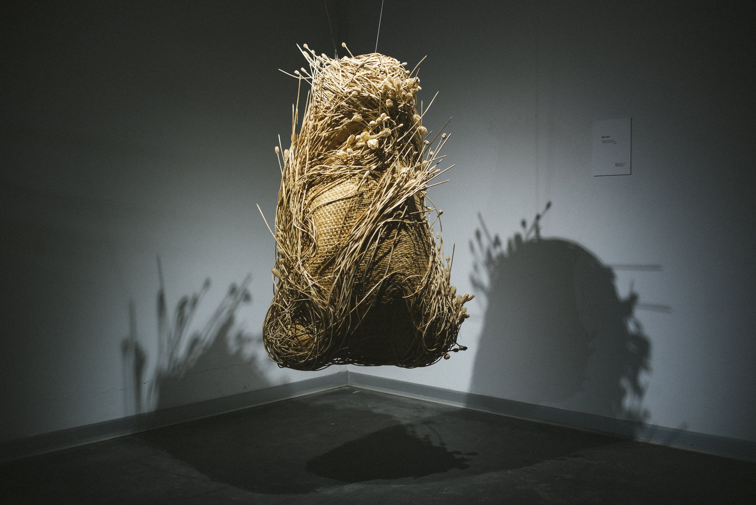L1001663-2.jpg
