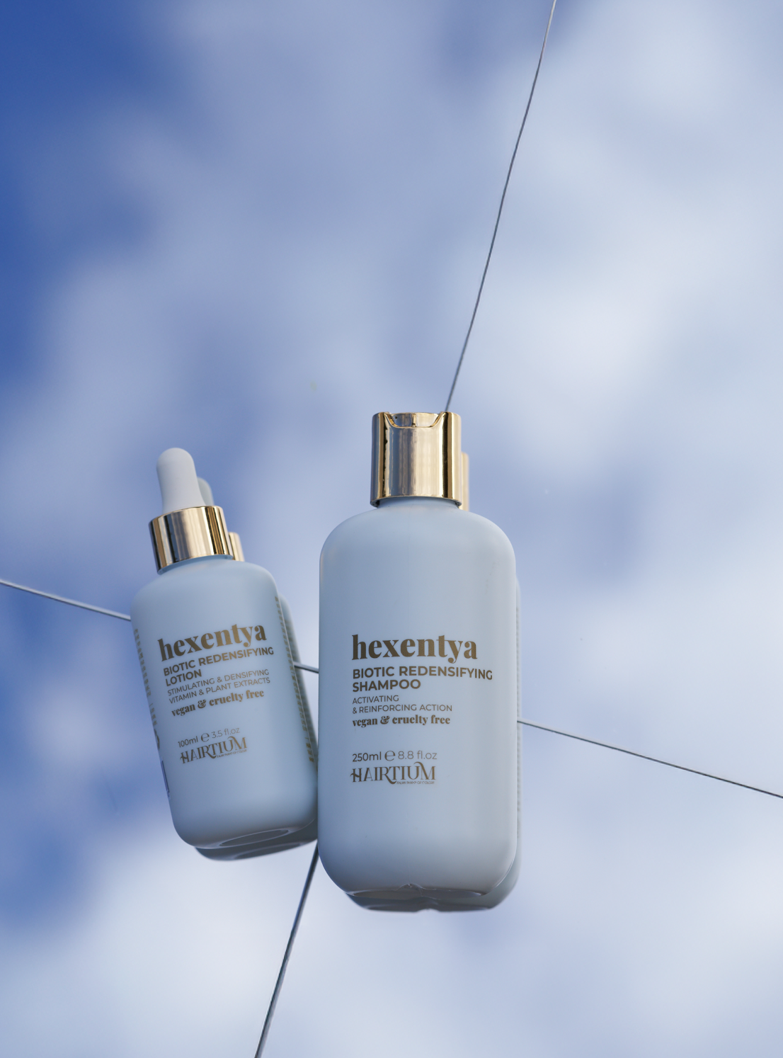 hexentya biotic redensifying