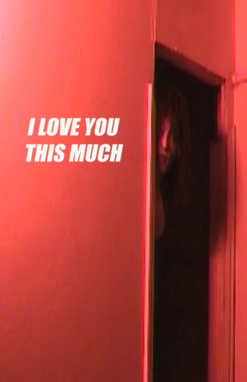 I LOVE YOU THIS MUCH