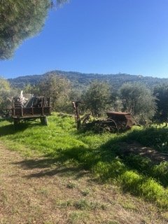 IMG_1624 2 Small.jpeg