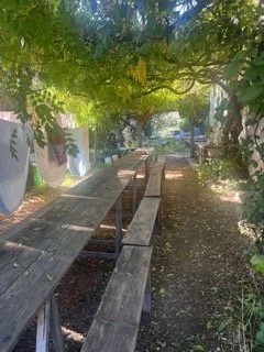 IMG_1641 2 Small.jpeg