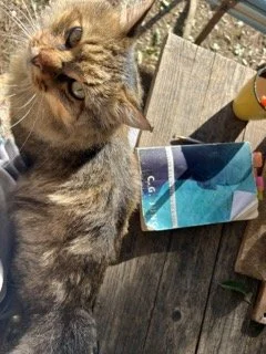 IMG_1689 2 Small.jpeg