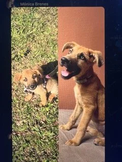 IMG_9796 2 Small.jpeg