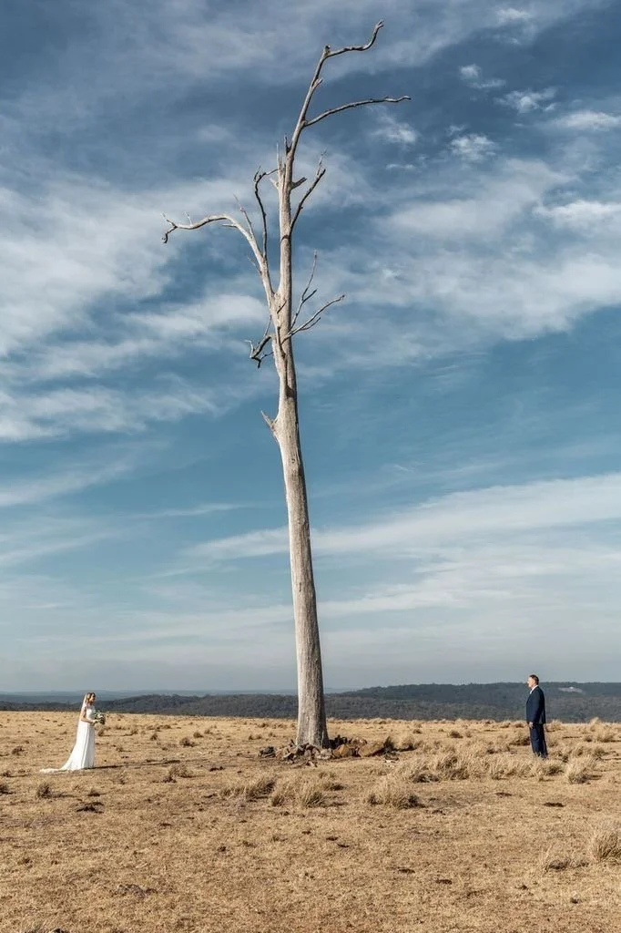 A bride and groom standing apart in a vast, dry field with a large, leafless tree between them, under a cloudy sky.