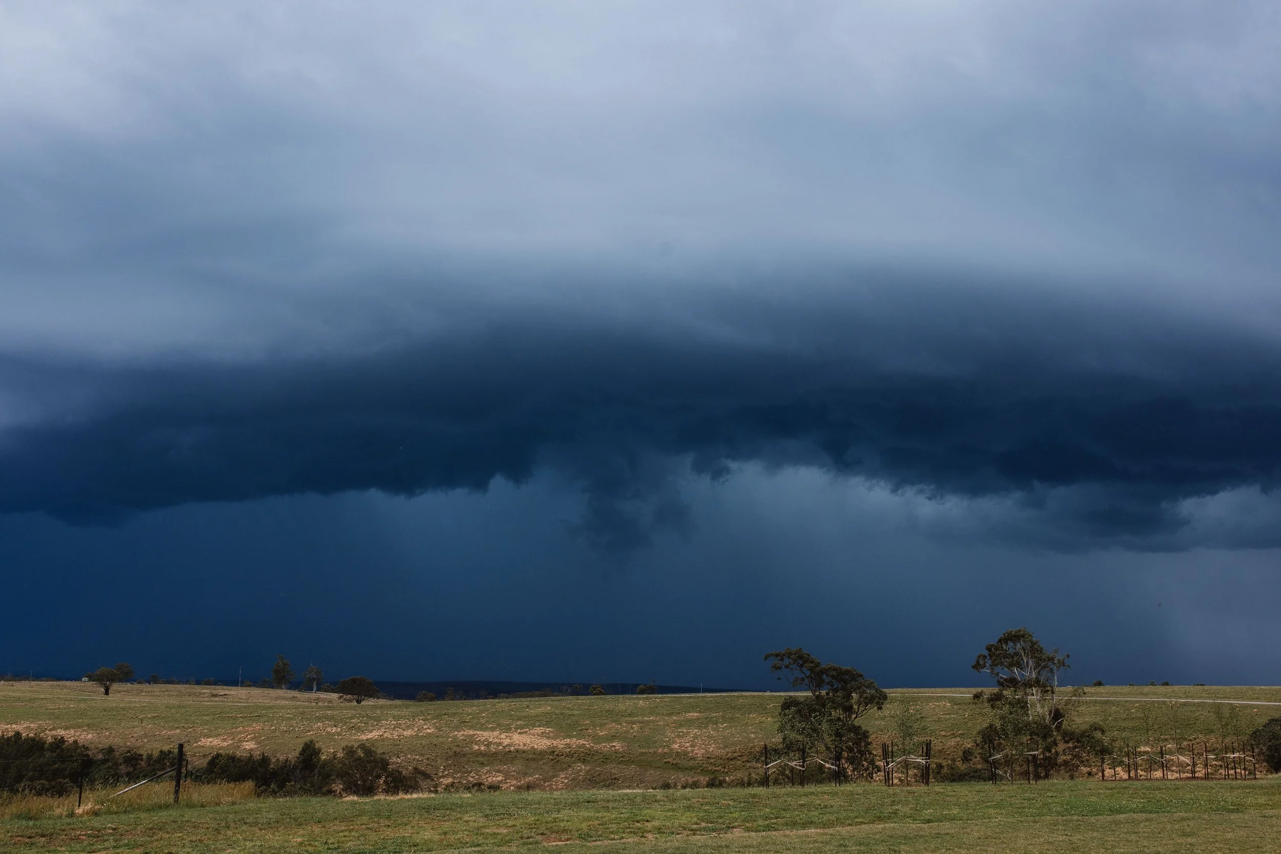Dark storm clouds over an open grassy field with sparse trees, indicating an approaching storm.