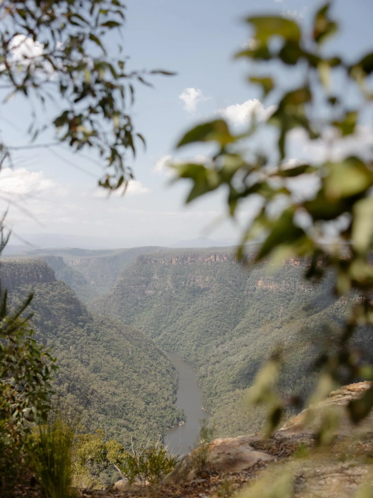 Nature sets the tone.

Swipe for your dream aisle overlooking the Shoalhaven River before the people you love most arrive.

Captured by @zacmrak