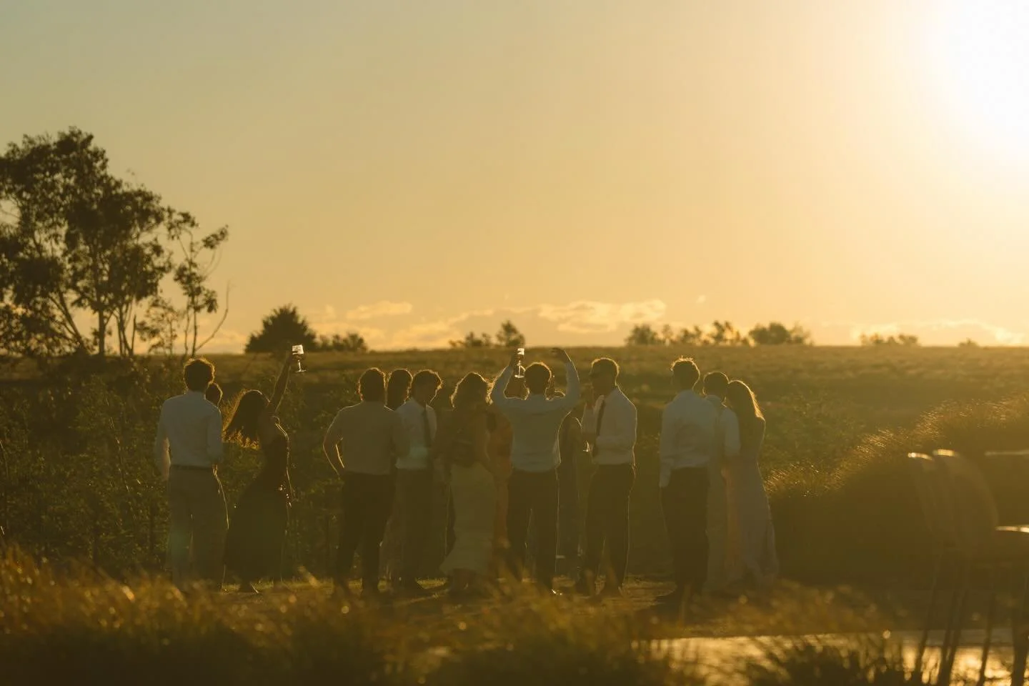 Golden hour

@brannenderry