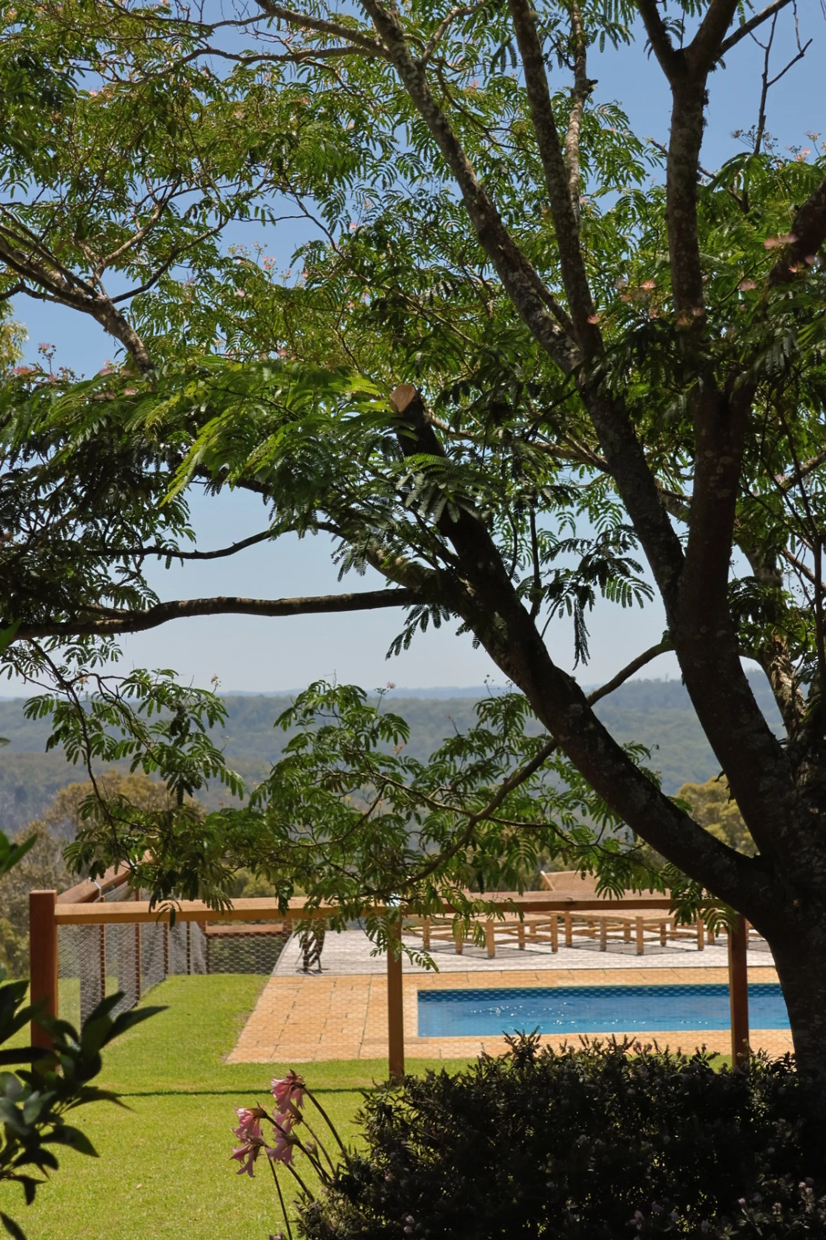 View of a backyard with a swimming pool, a tree in the foreground, and mountains in the background under a clear blue sky.
