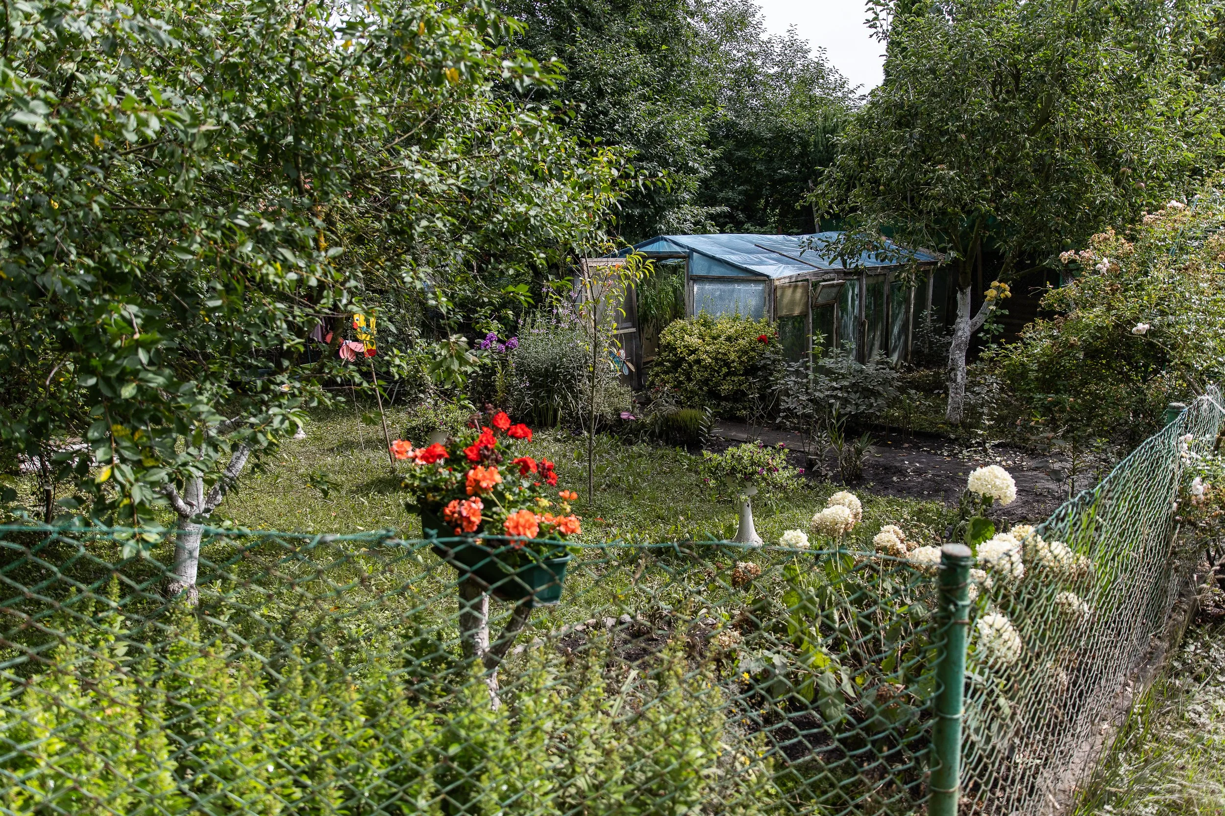 Górki Ustowskie (sector 3 of allotment gardens), which were flooded after regular rainfall in this area, Ustowo, Poland, July 28, 2025