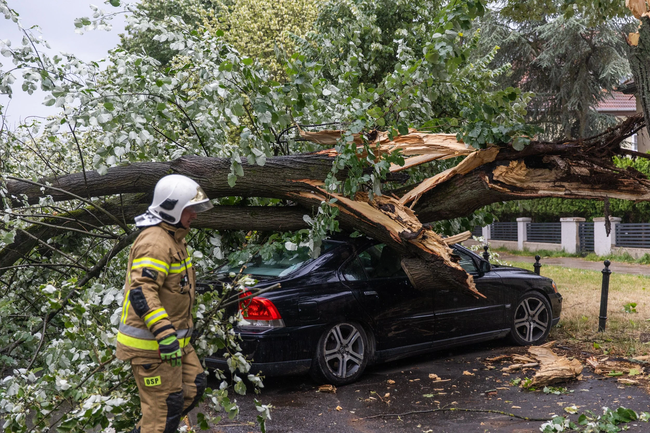 Natura kontra człowiek