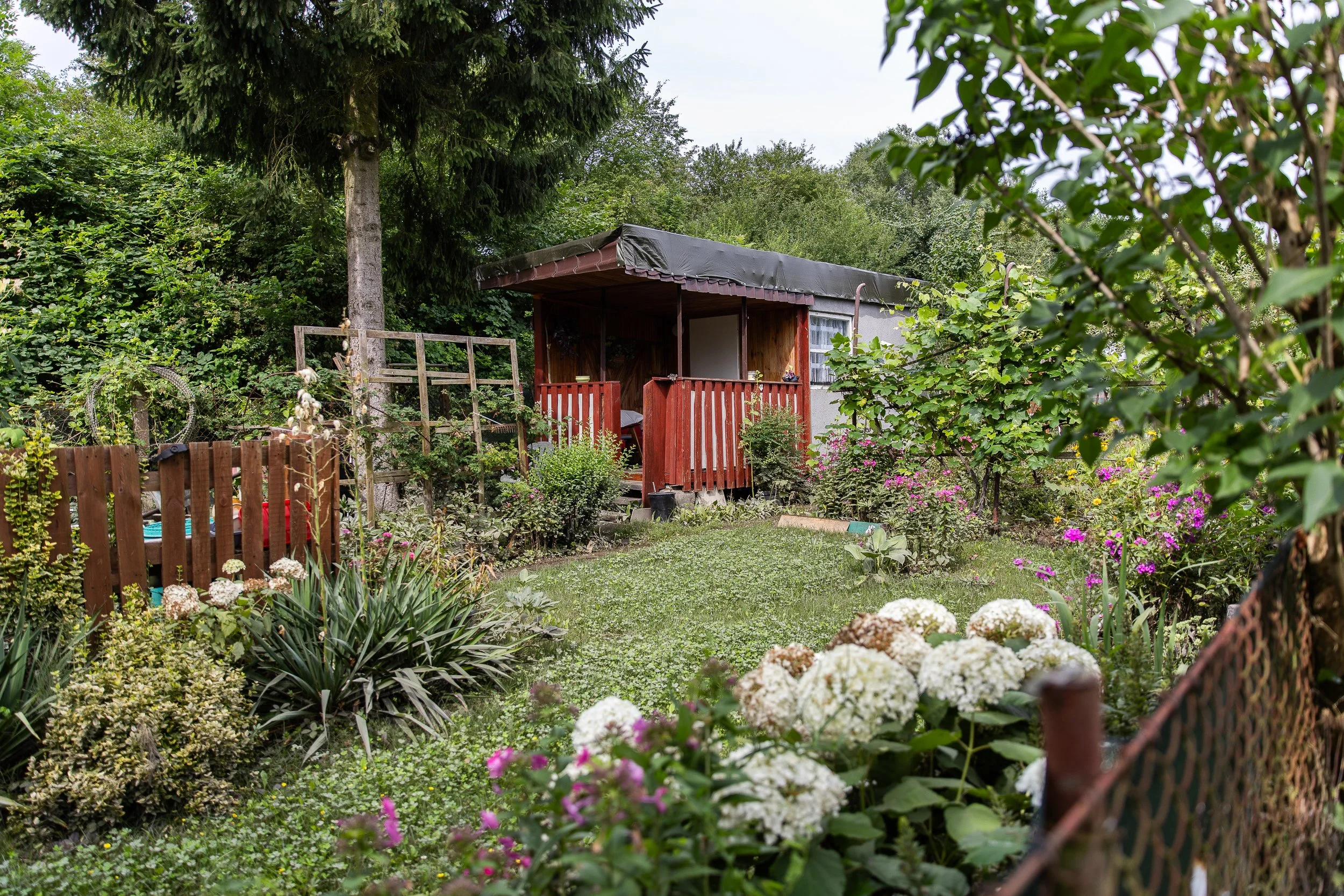 flooded-allotment-gardens-8.jpg