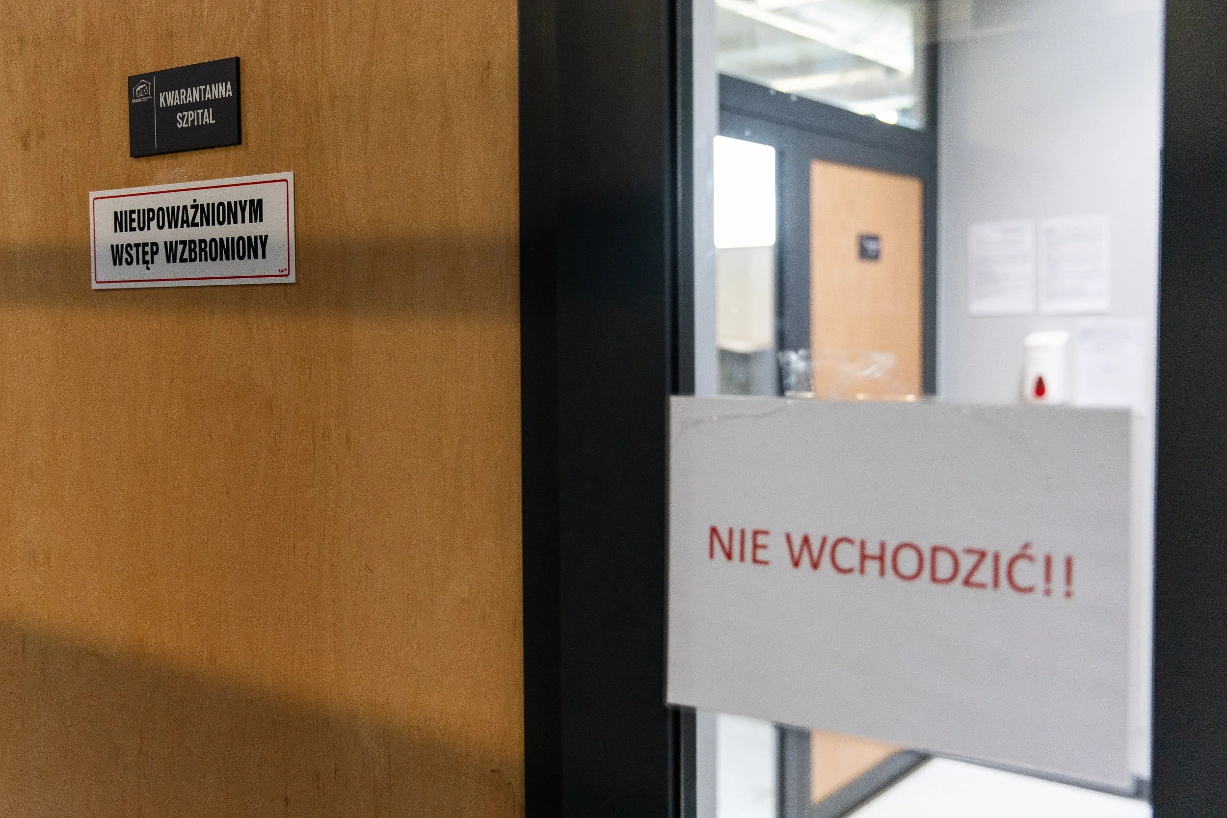 schronisko-dla-bezdomnych-zwierzat-w-szczecinie-11.jpg
