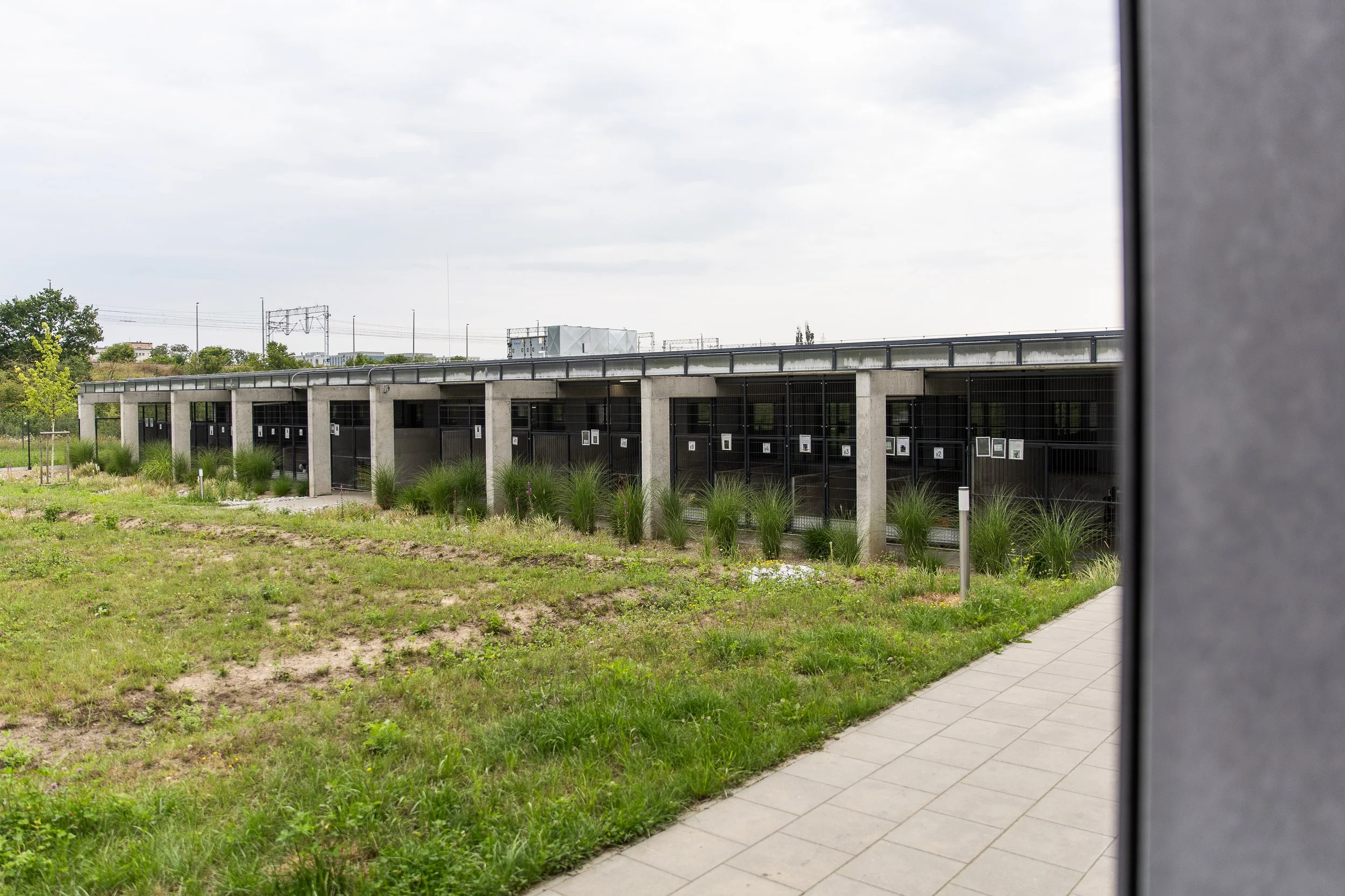 Cages connected to boxes housing dogs, Animal shelter, Szczecin, Poland, July 21, 2025