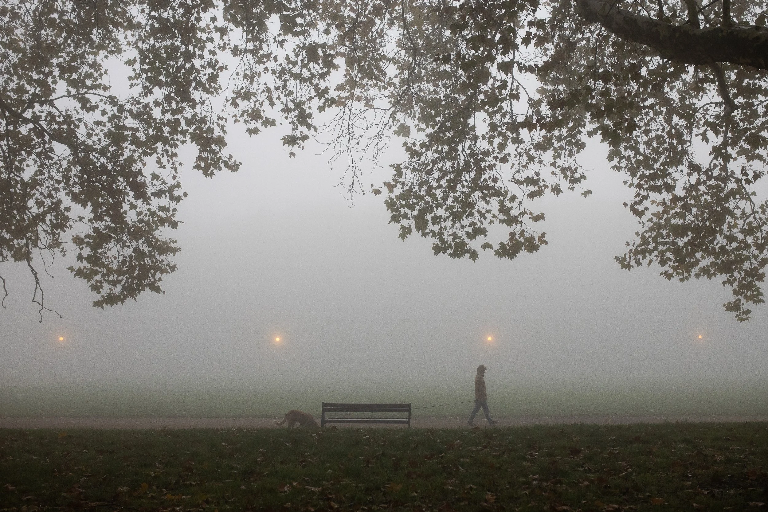 Morning walkers, Jasne Błonia, Szczecin Park, Poland, October 27, 2024