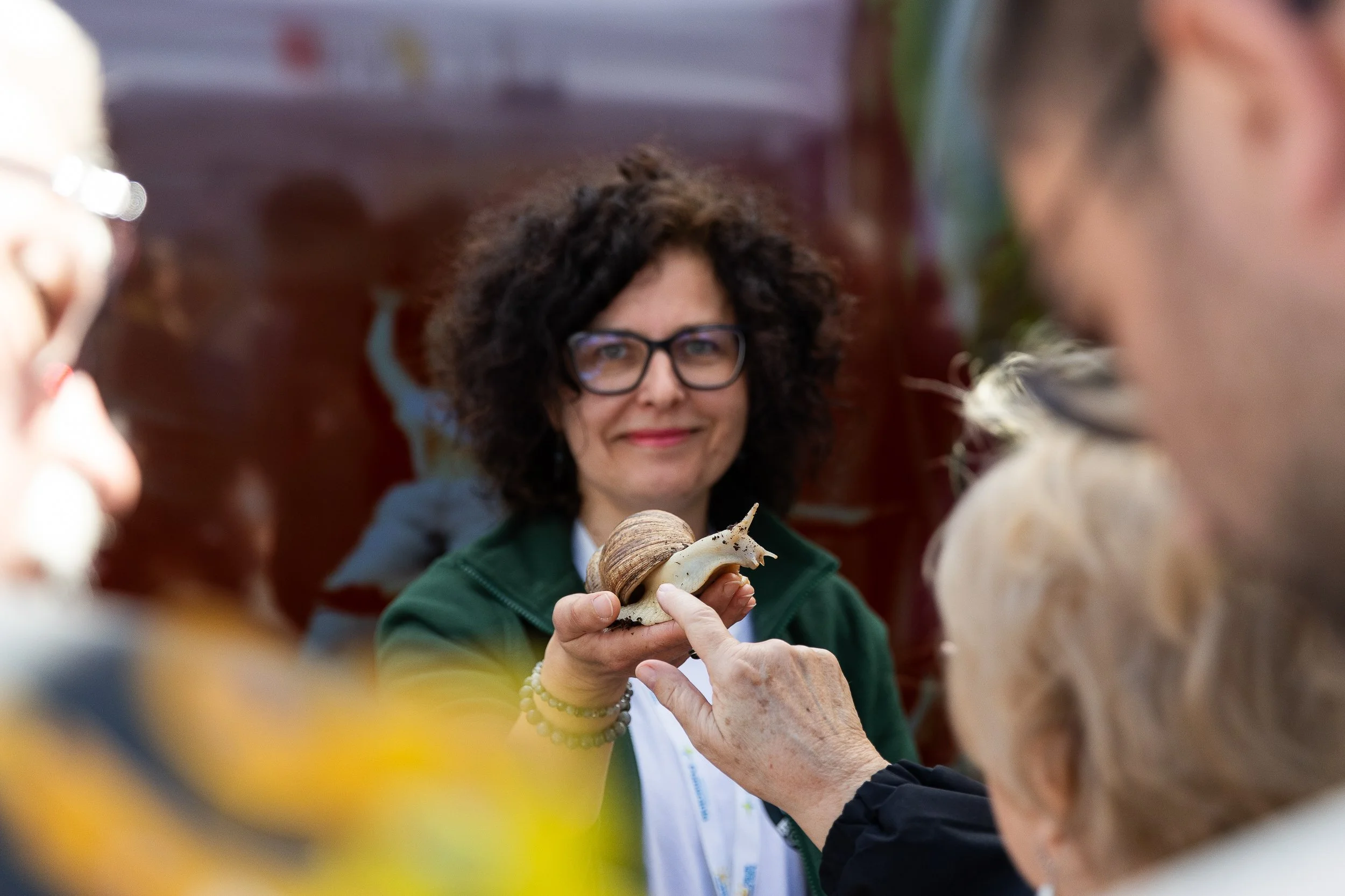 Jedno z egzotycznych zwierząt prezentowane przez wystawców podczas wydarzenia “Piknik nad Odrą”, Szczecin, Polska, 11 maja 2025.