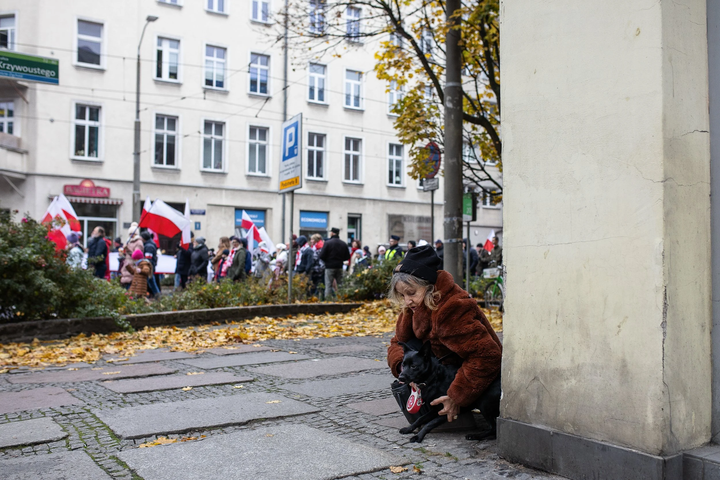 A person calms a dog as it passes by during the Independence March, Szczecin, Poland, November 11, 2024