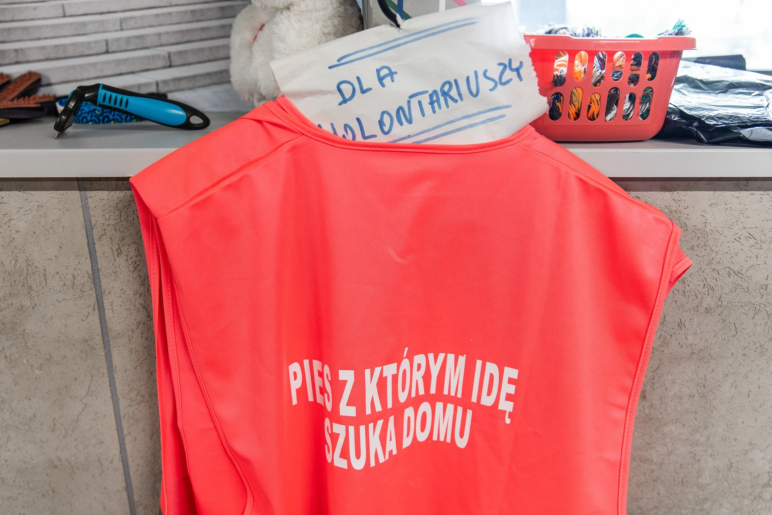 Vest with the inscription "the dog I'm walking with is looking for a home", Animal shelter, Szczecin, Poland, July 21, 2025