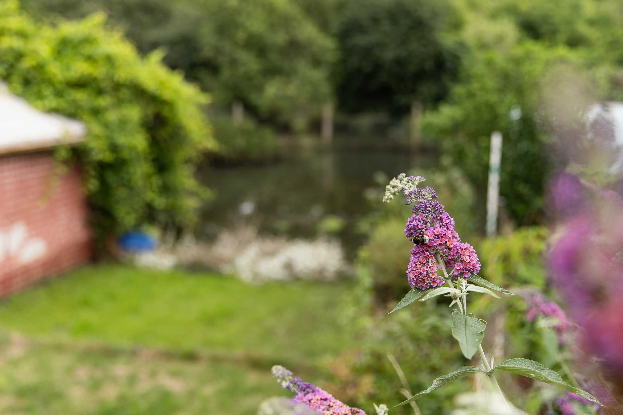 flooded-allotment-gardens-17.jpg