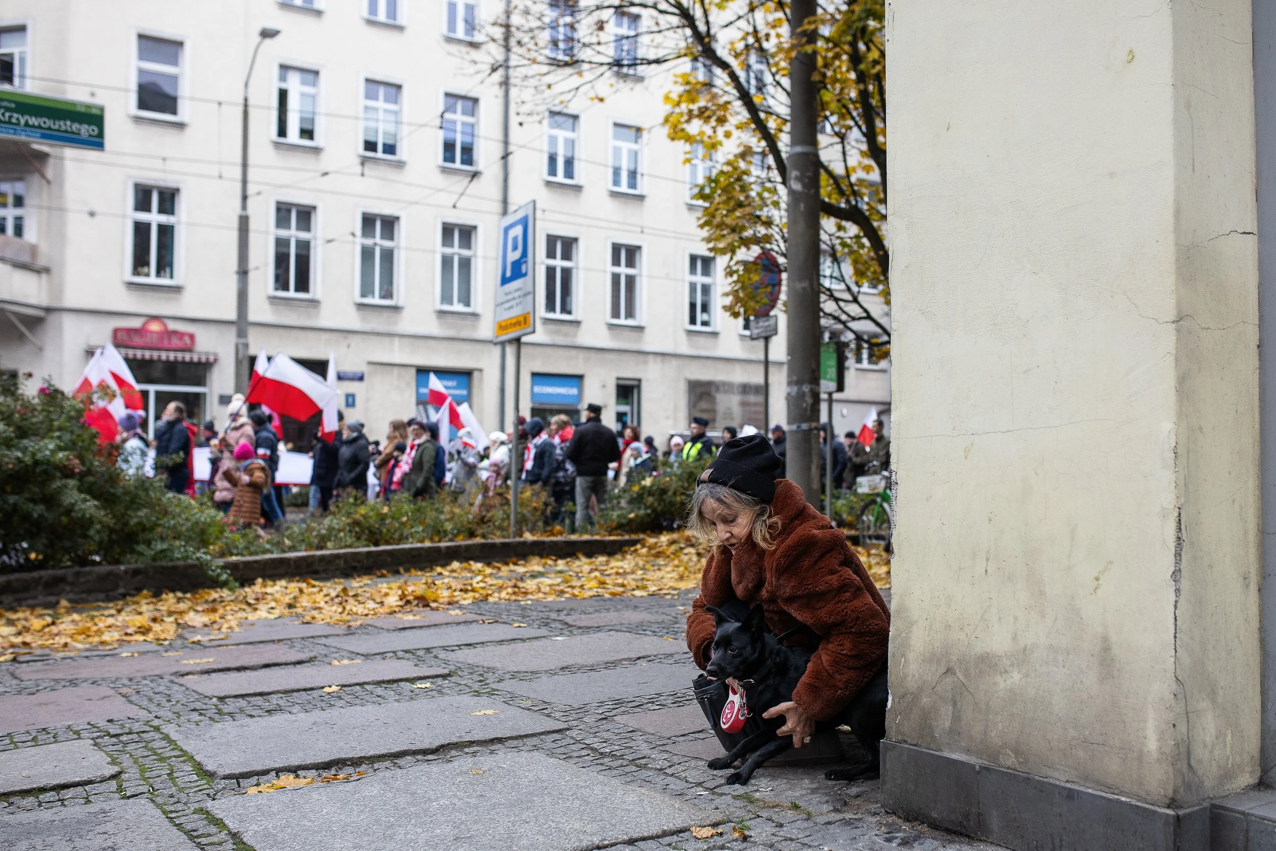 Osoba uspakajająca psa podczas przechodzącego obok niego Marszu Niepodległości, Szczecin, Polska, 11 listopada 2024.