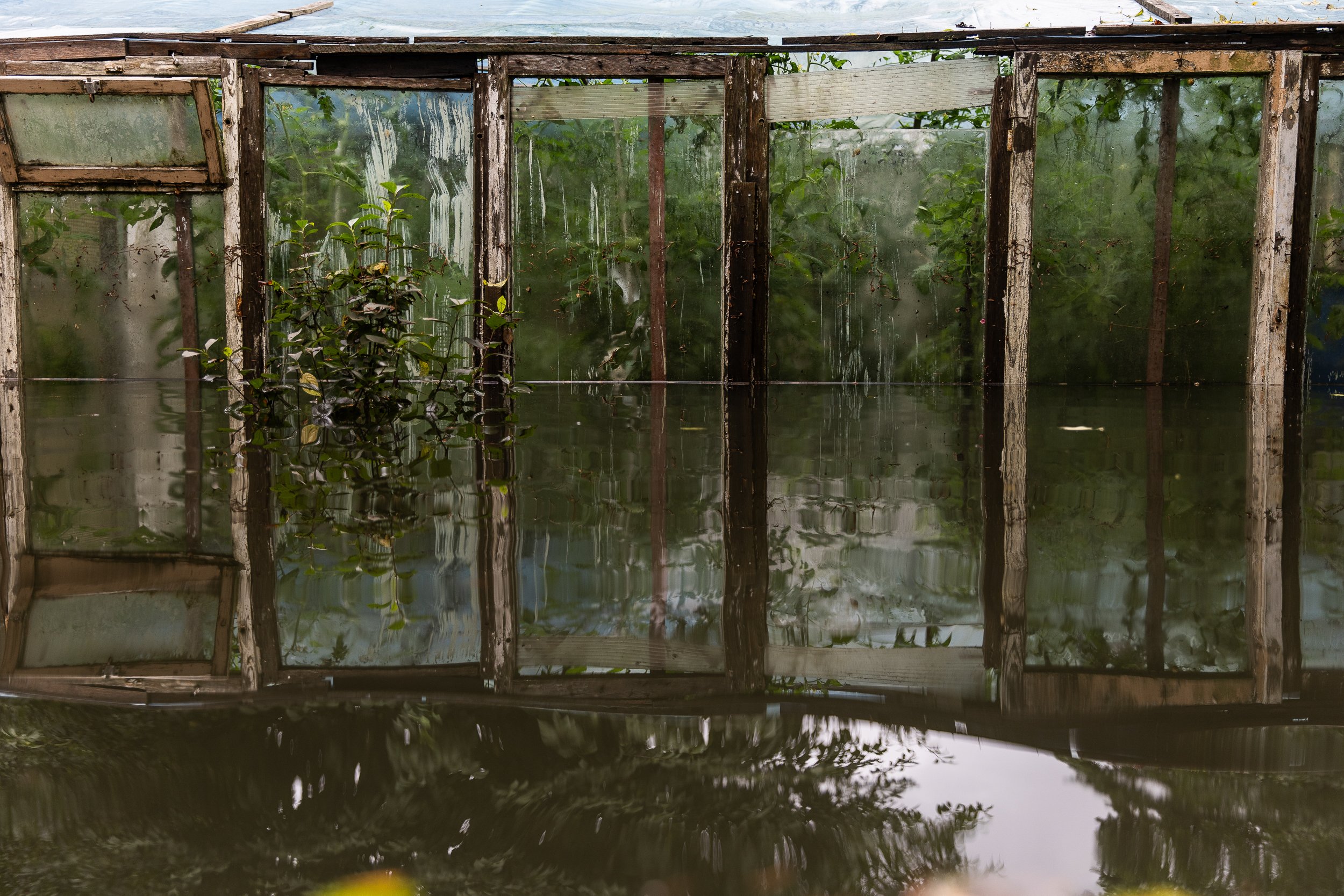 flooded-allotment-gardens-13.jpg