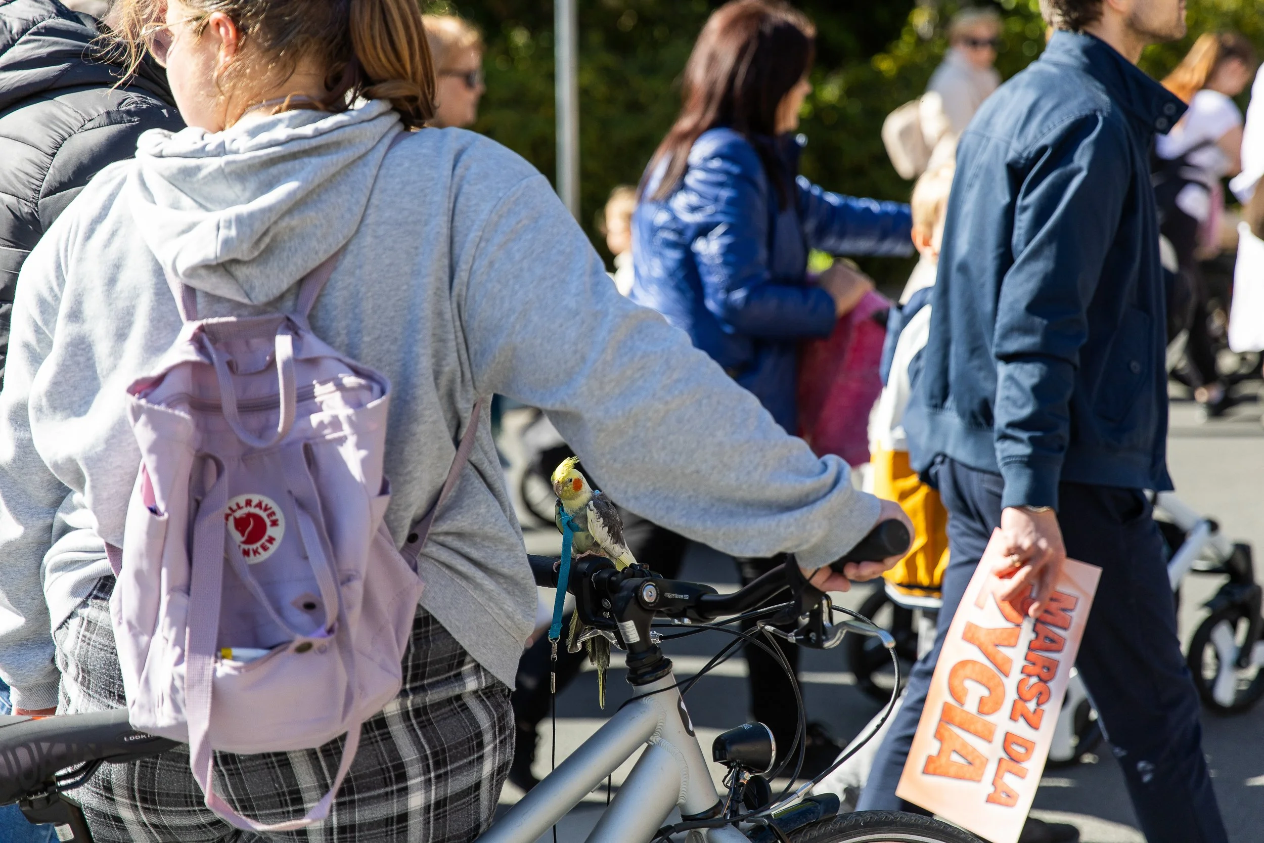 Papuga na smyczy, która została zabrana przez jedną z uczestniczek Marszu dla Życia, Szczecin, Polska, 27 kwietnia 2025.