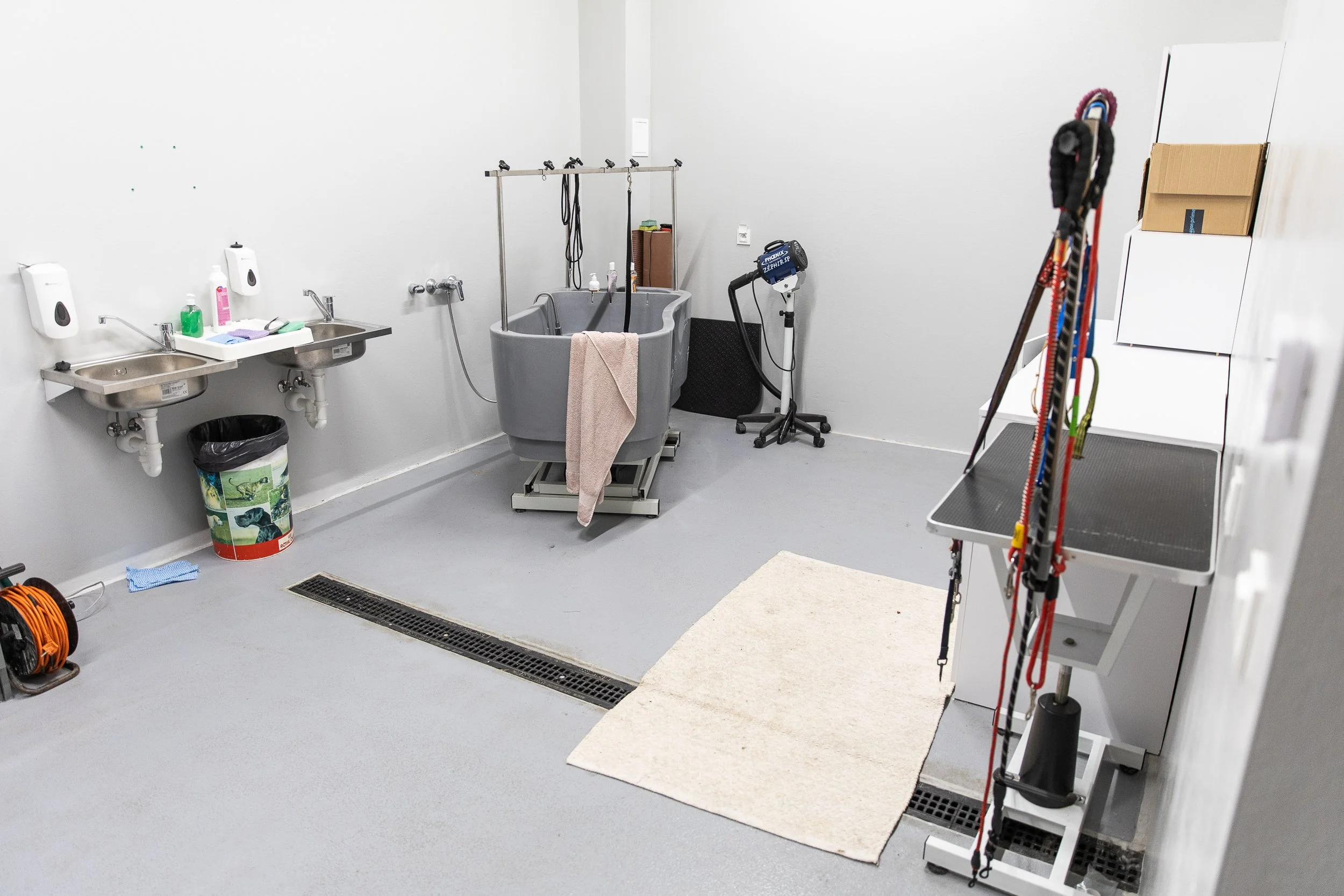 Dog grooming room, Animal shelter, Szczecin, Poland, July 21, 2025