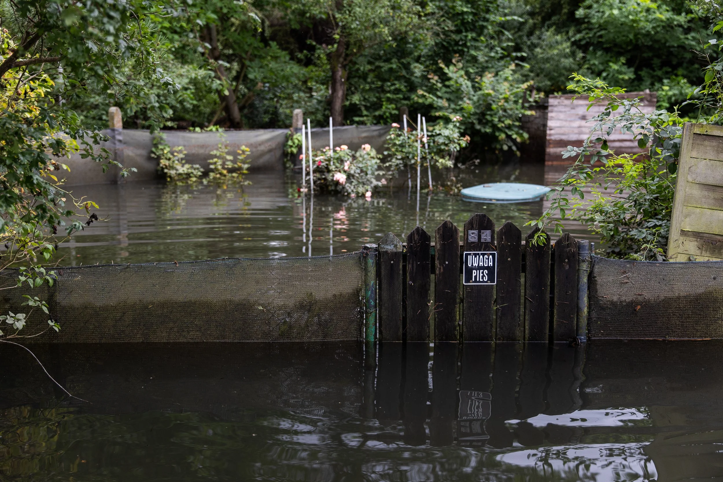 flooded-allotment-gardens-18.jpg