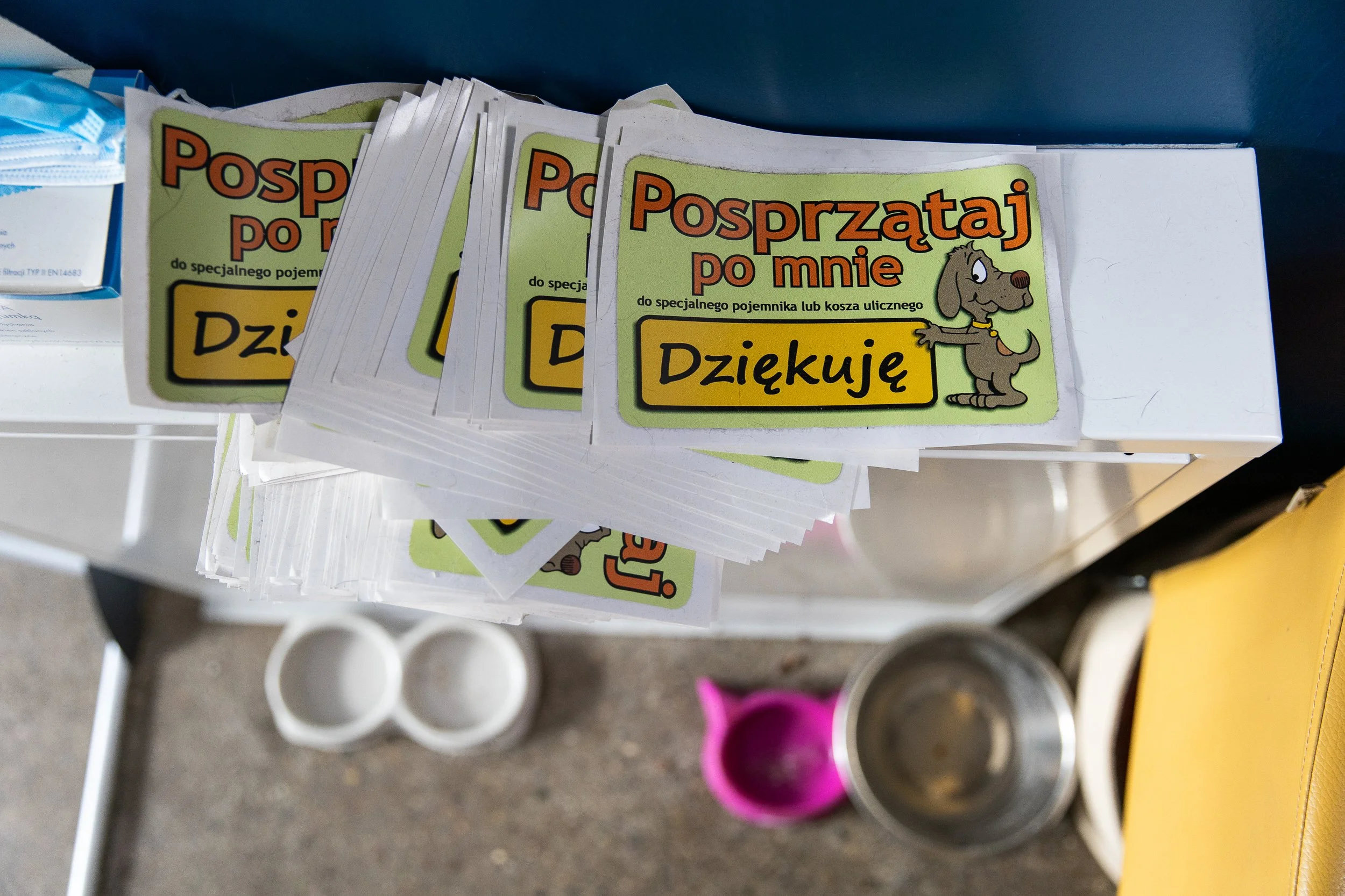 schronisko-dla-bezdomnych-zwierzat-w-szczecinie-26.jpg