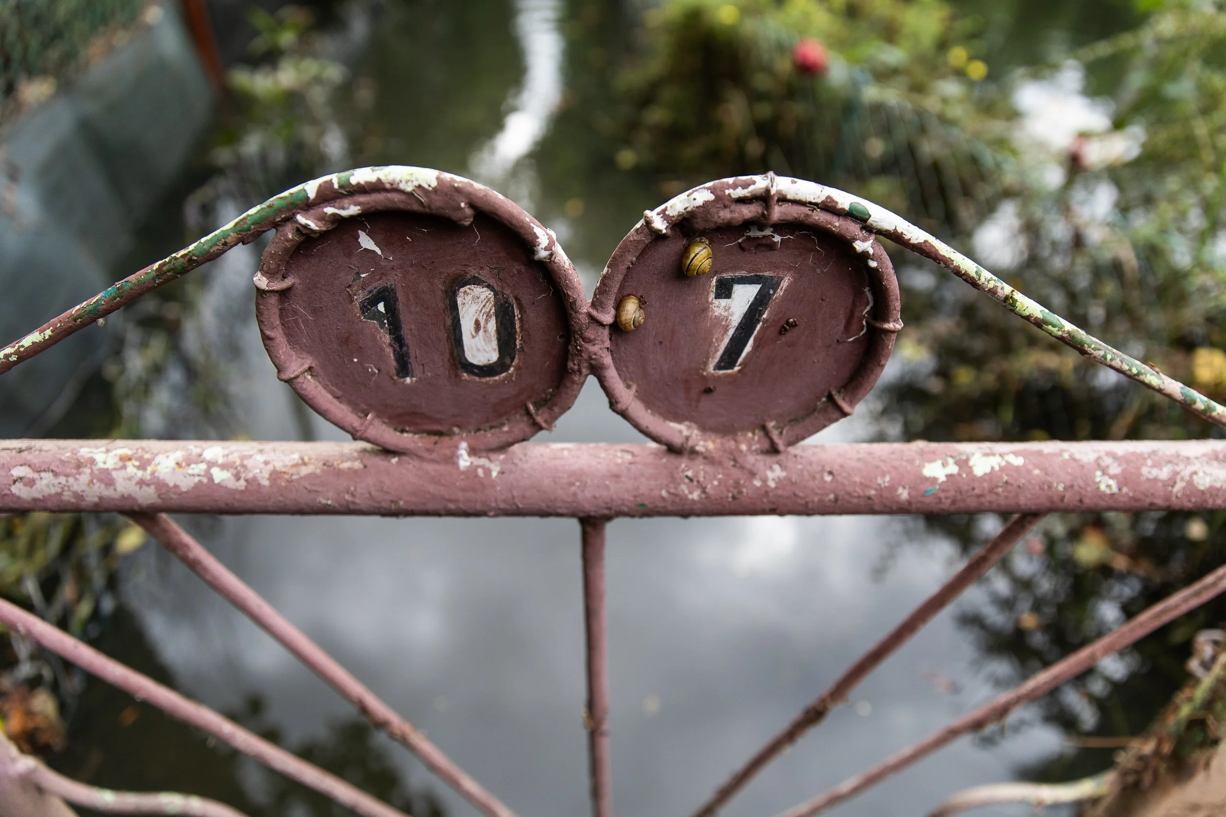zalane-ogrody-dzialkowe-gorki-ustowskie-26.jpg
