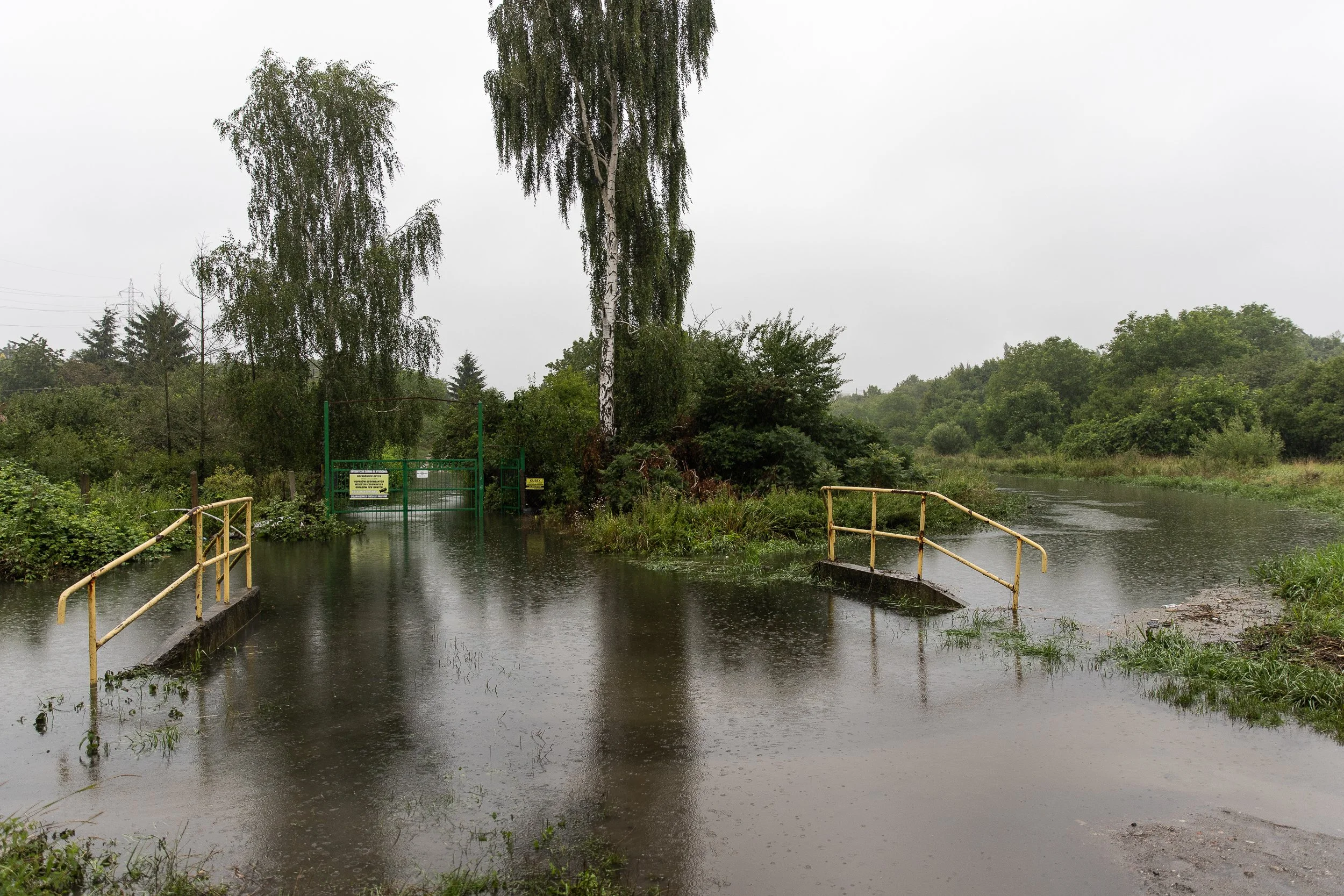 Górki Ustowskie (allotment garden sector 3), which was flooded after heavy rainfall. Flooding has been recurring regularly for years, and is partly due to changes intended to protect another street (Derdowskiego) from flooding, Ustowo, Poland, July 2