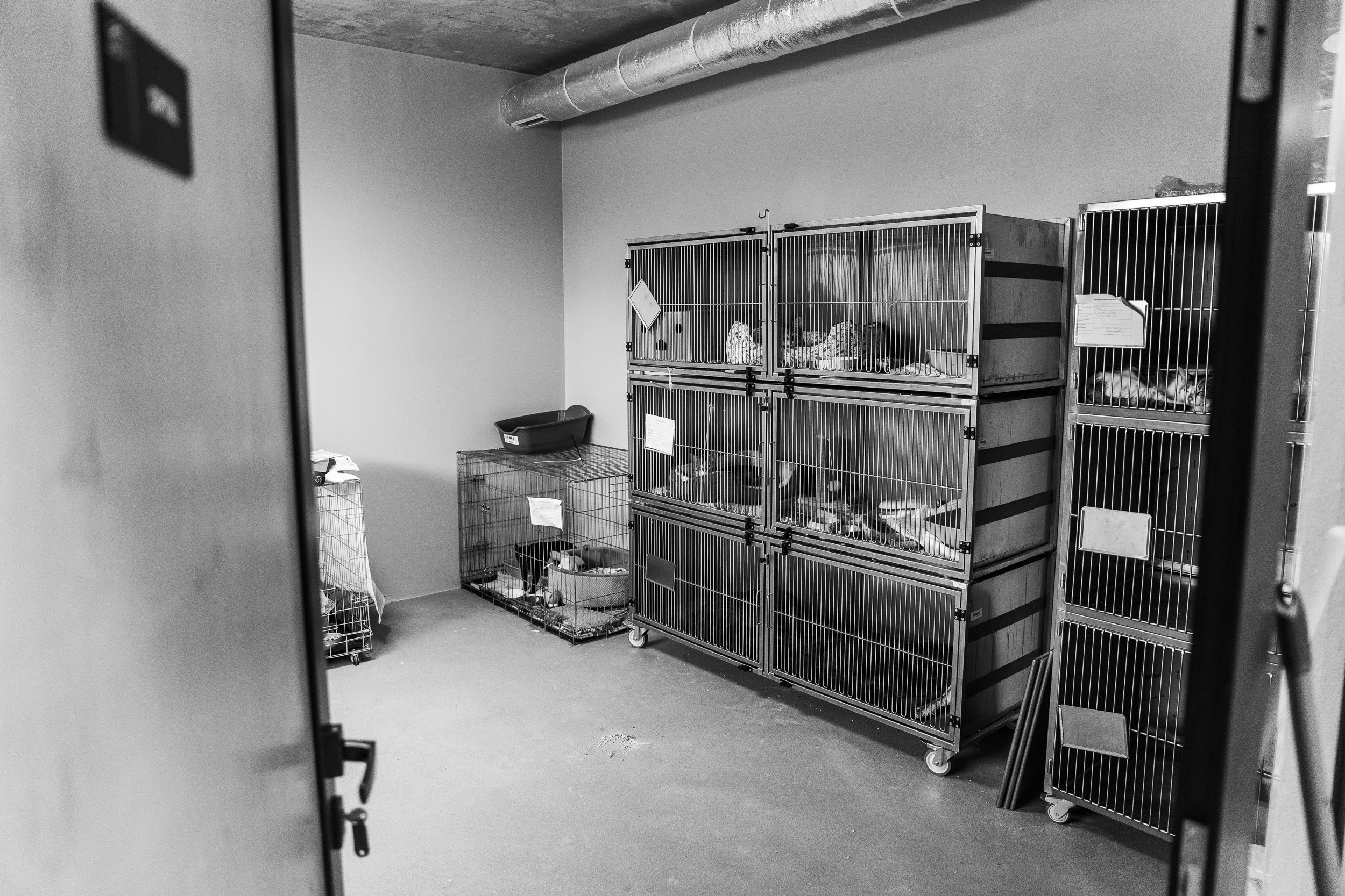 Hospital room in a shelter, Szczecin, Poland, July 16, 2025