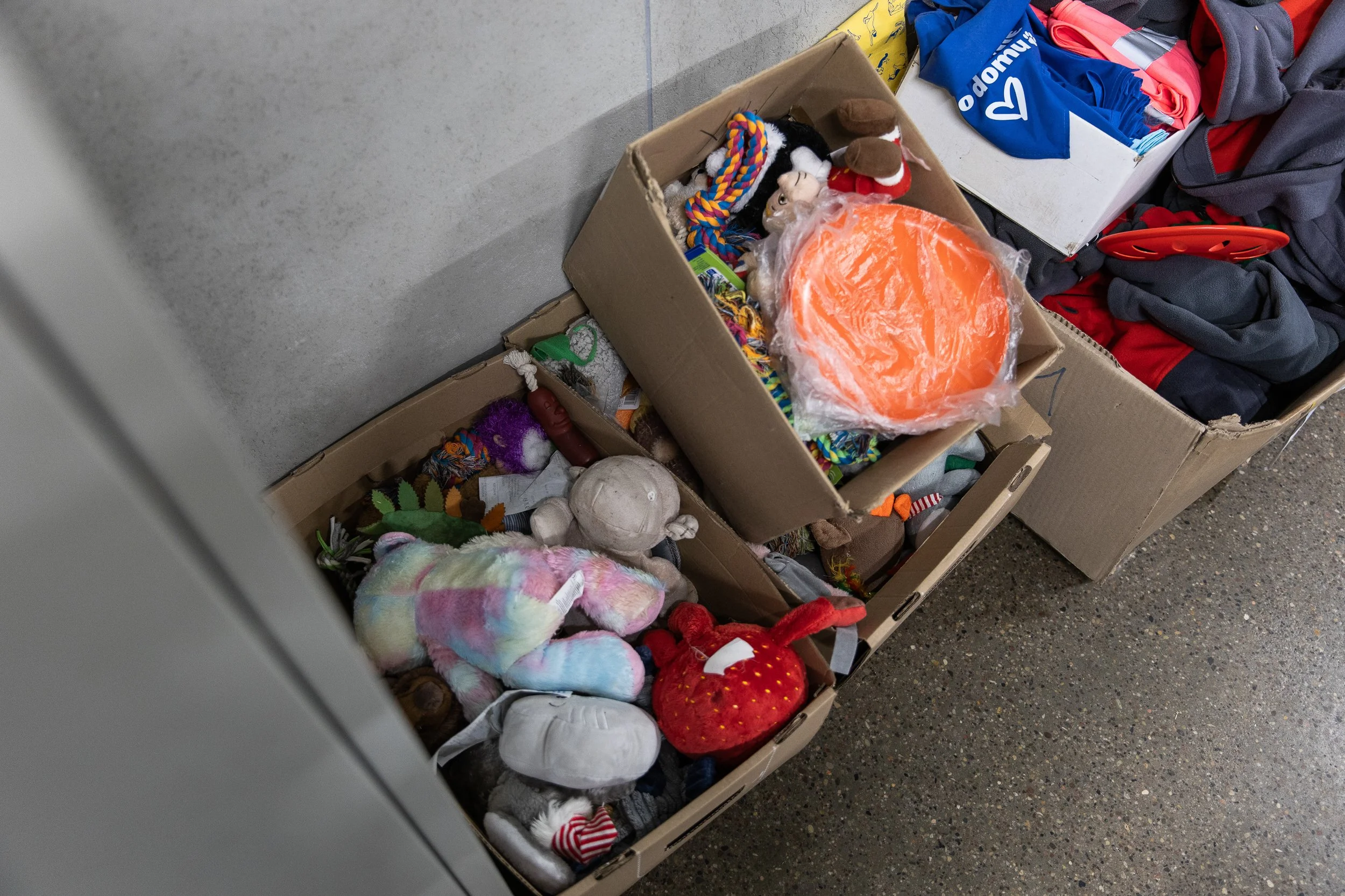 Boxes of dog accessories and toys, Animal shelter, Szczecin, Poland, July 21, 2025.