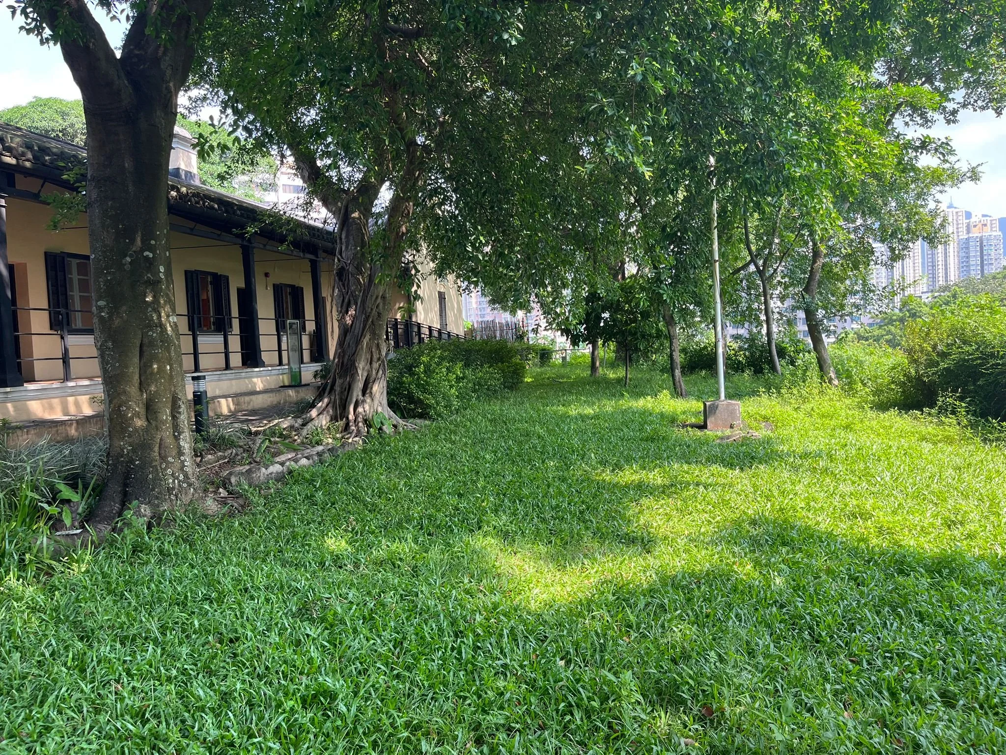 WhatsApp Image 2024-12-10 at 4.28.29 PM.jpeg