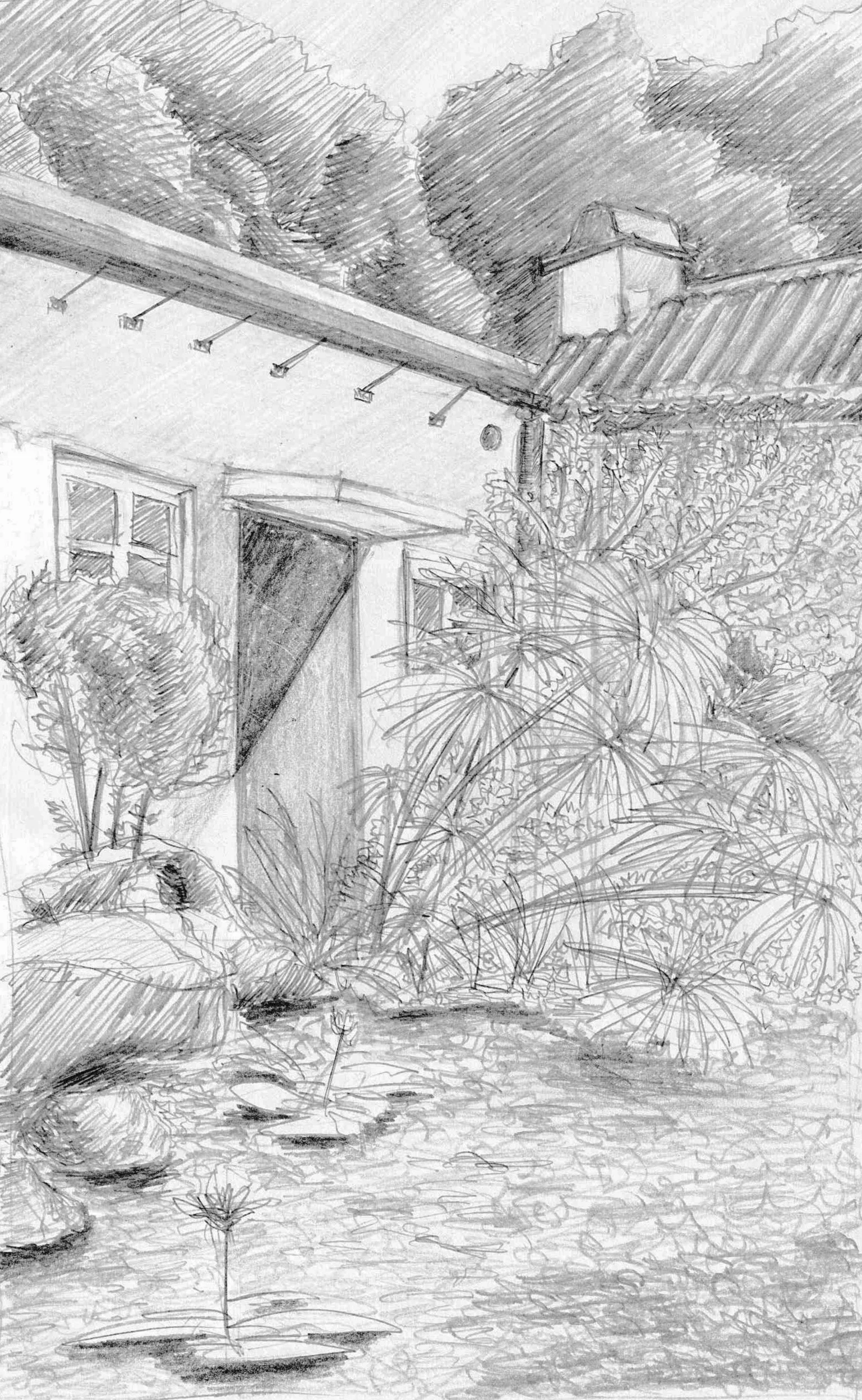 maisy-20220818-drawing.jpg