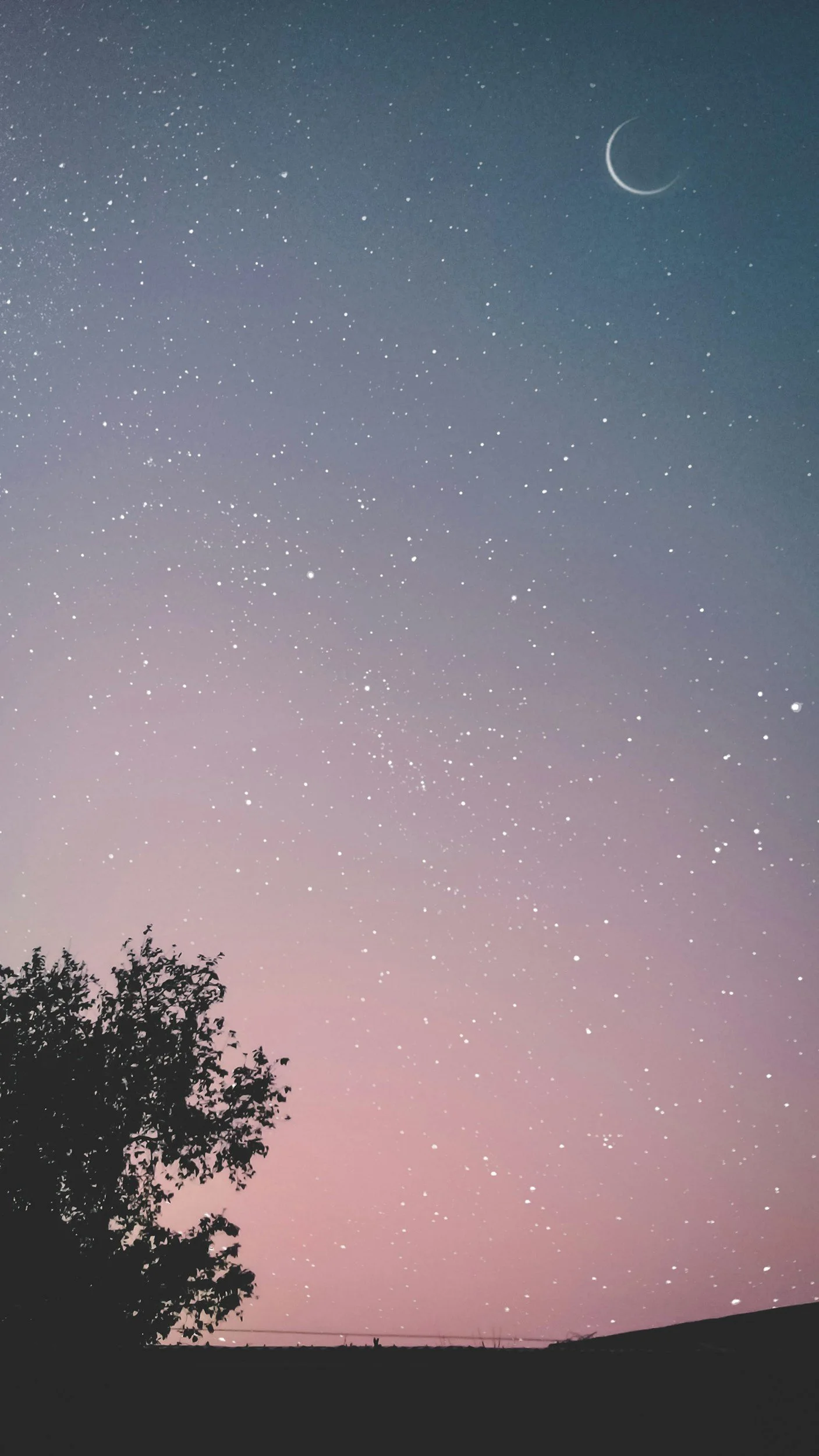 Night sky with numerous stars and a crescent moon, with a silhouette of a tree and a horizon at the bottom.