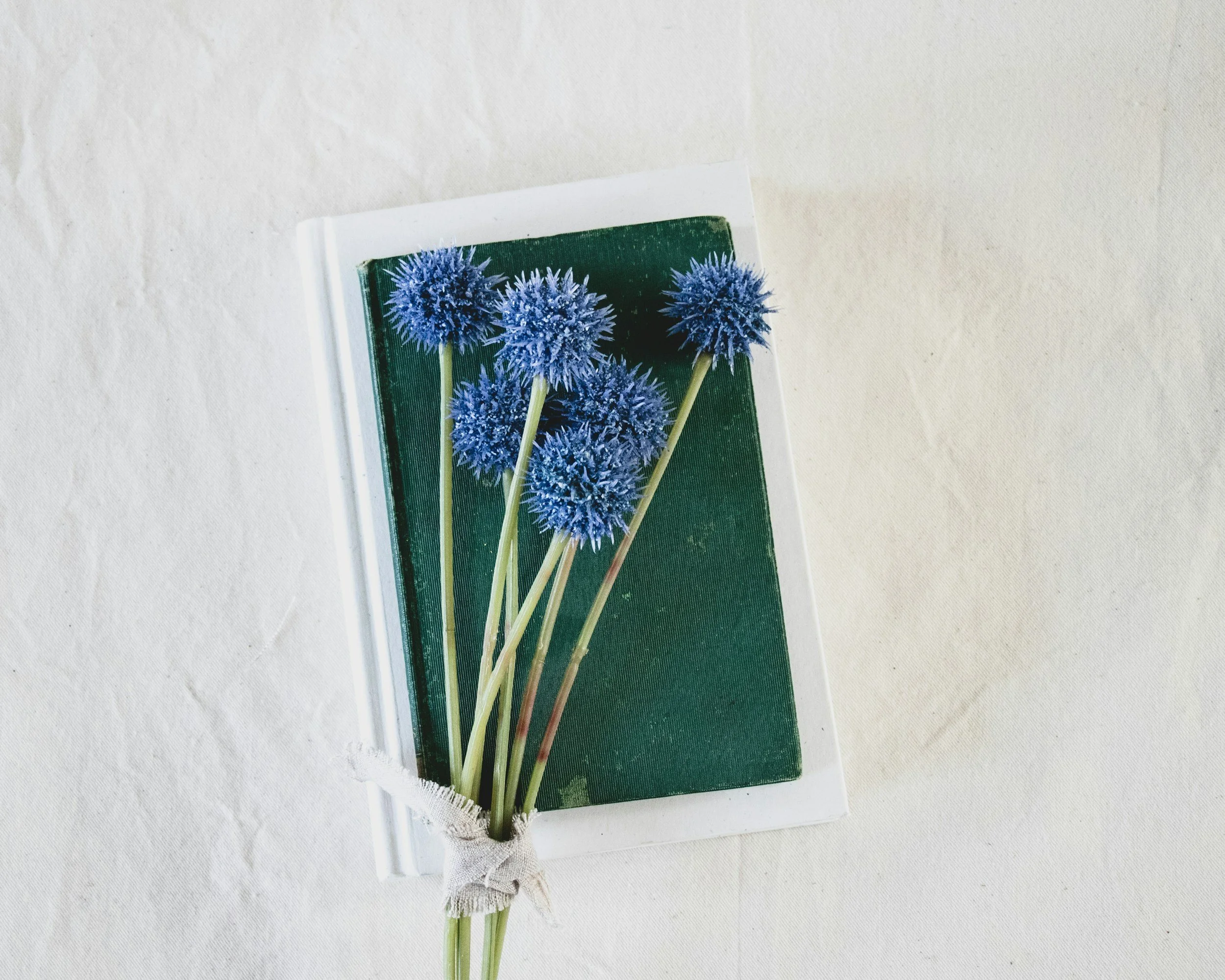 A cluster of blue globe thistle flowers with long stems tied with a white ribbon, resting on a closed book with a green cover on a light-colored surface.