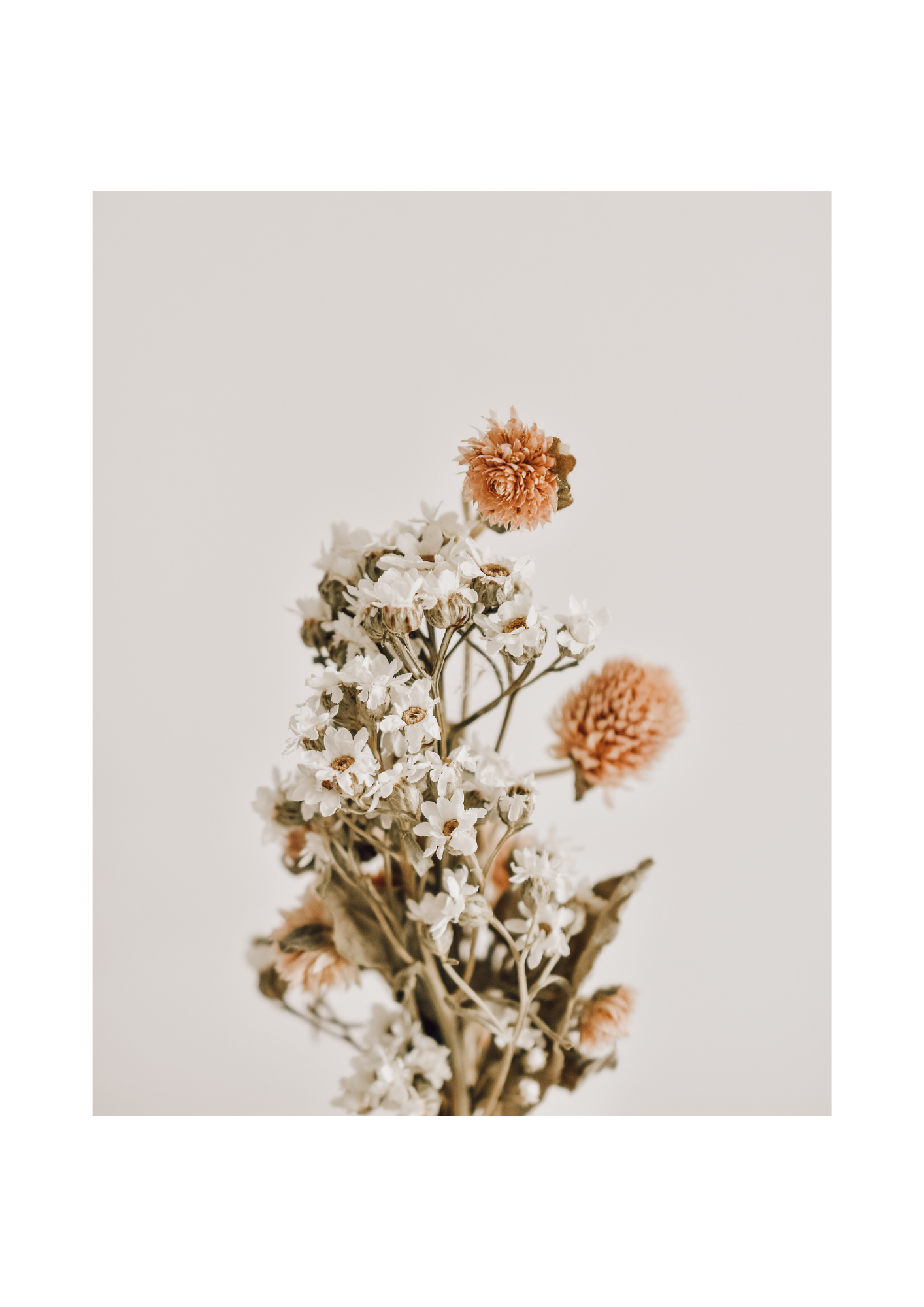 A bouquet of dried flowers including white daisies and peach-colored thistle flowers against a plain off-white background.