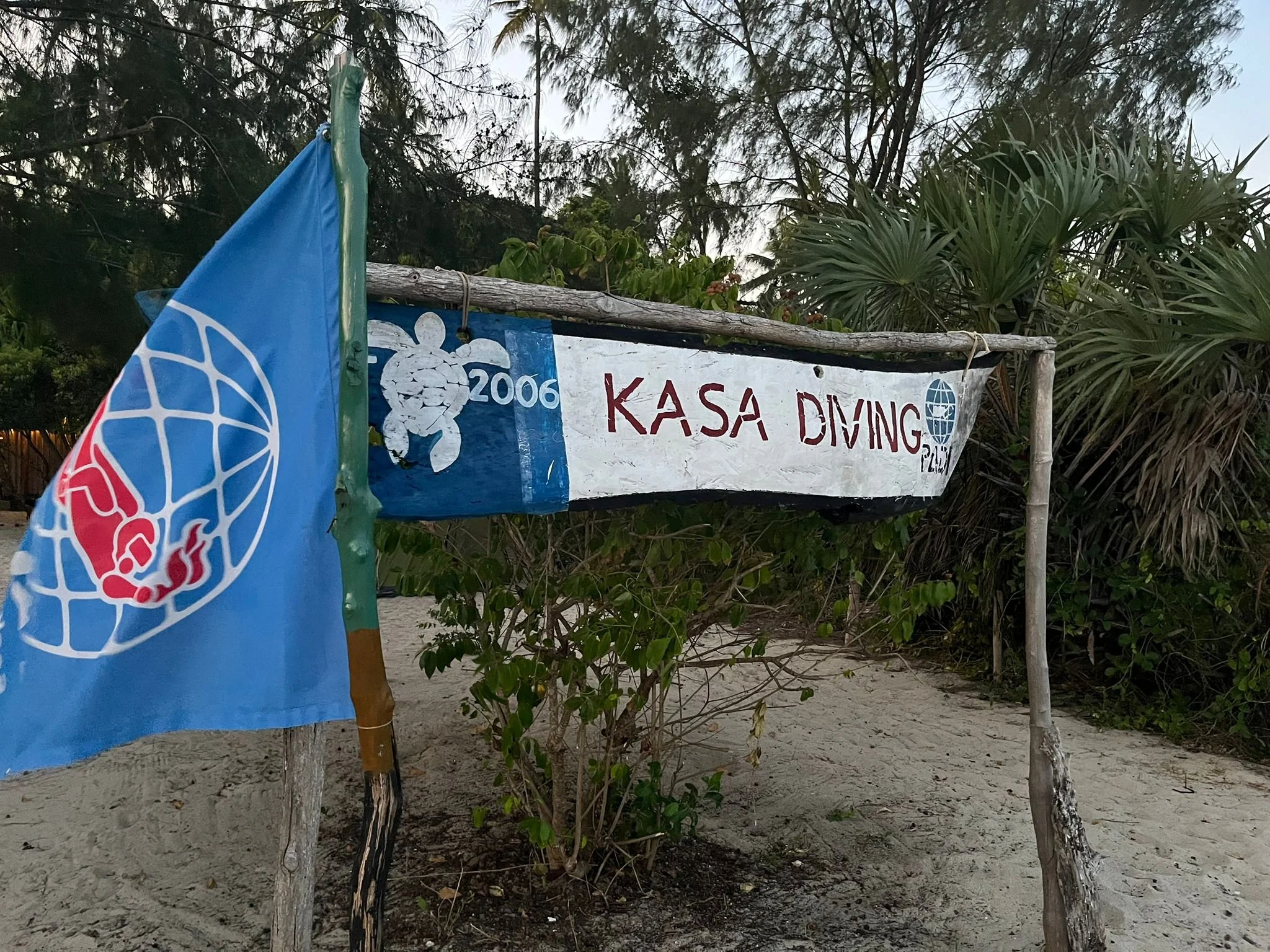 WhatsApp Image 2024-12-24 at 23.26.21 (1).jpeg