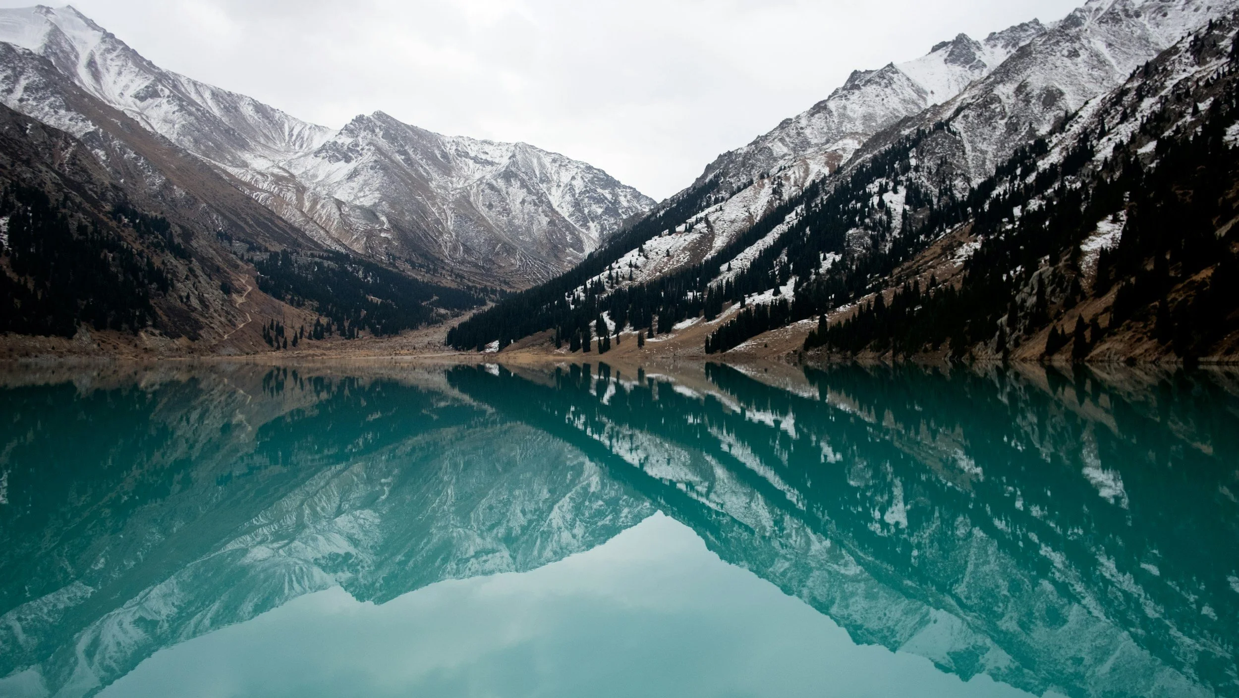 unsplash-image-ToJNyWpDn9I.jpg