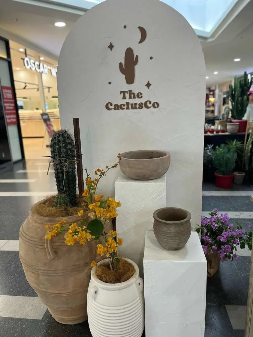 Showcase on display in a shopping mall with potted cacti and flowers, featuring a white decorative sign with a cactus, moon, and star illustrations and the text 'The CactusCo.'