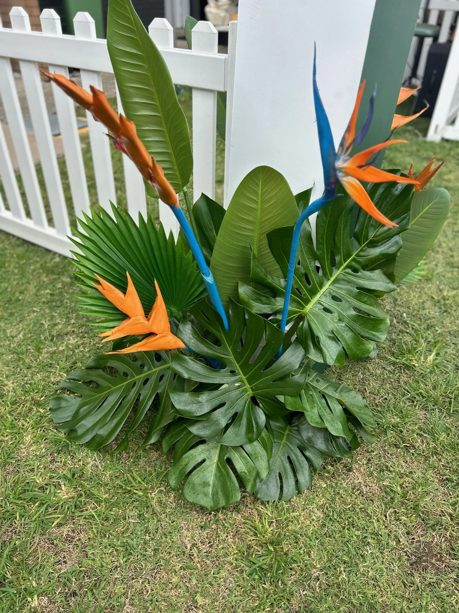 A potted arrangement of tropical plants including monstera and palm leaves, with orange and blue bird of paradise flowers, situated on grass near a white picket fence.