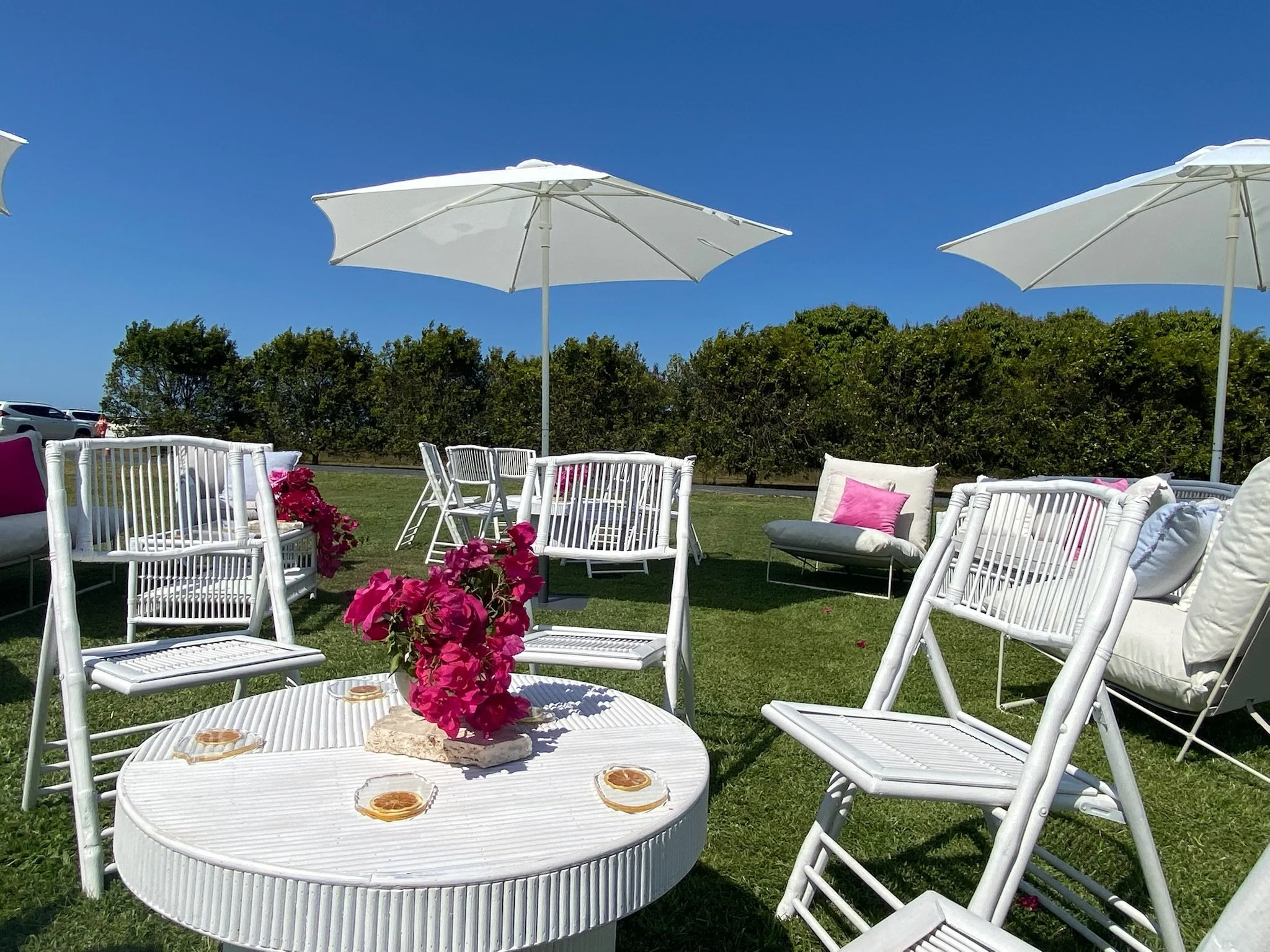 Copy of IMG_5335.JPG