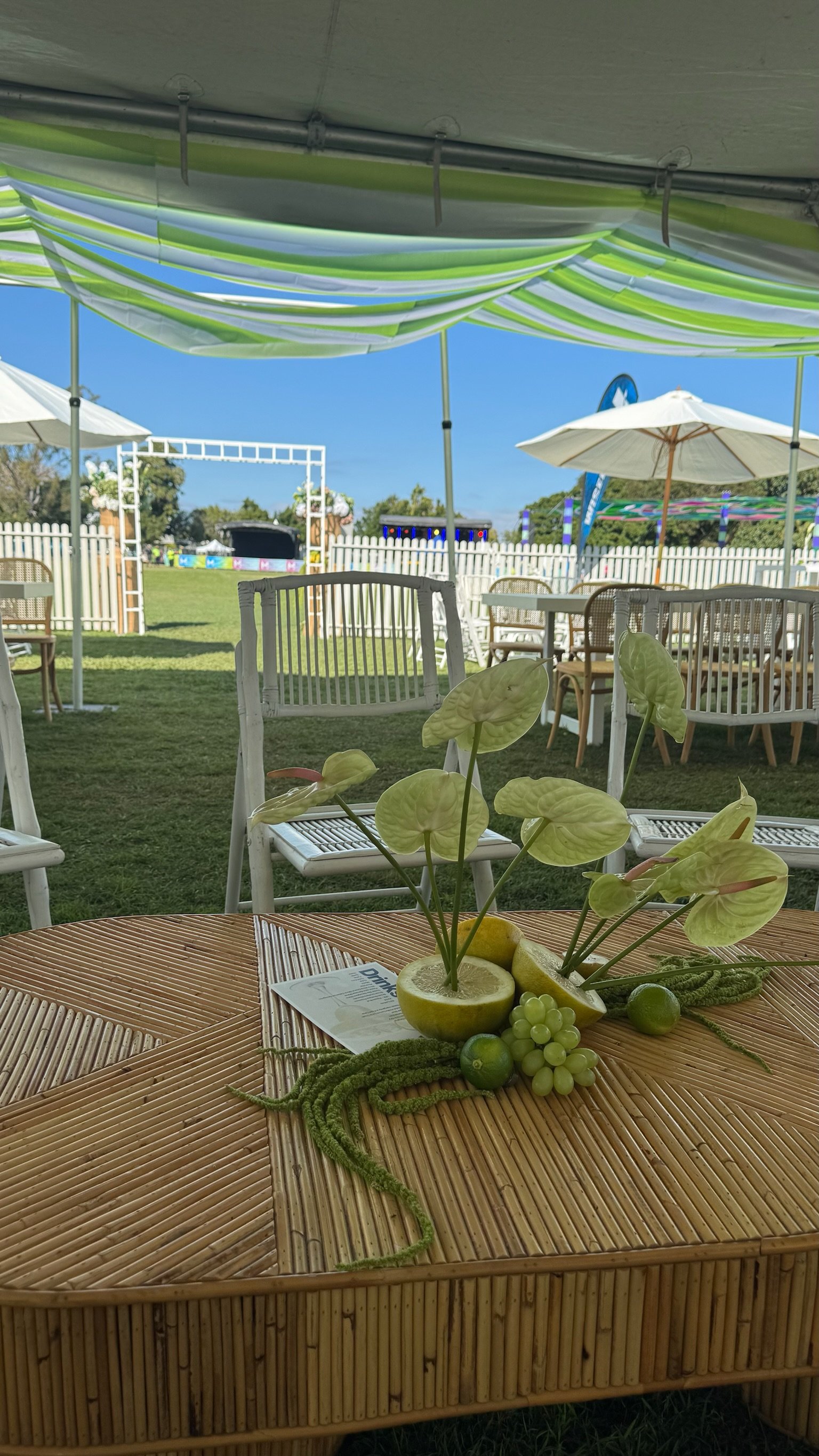 Copy of IMG_3856.JPG