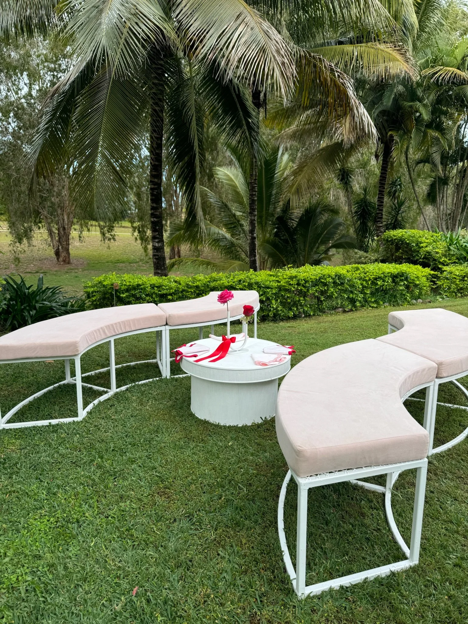 Garden setting with curved white benches with pink cushions, a small round white table with a pink flower in a white vase, and a red ribbon, surrounded by green grass, bushes, and tall palm trees.