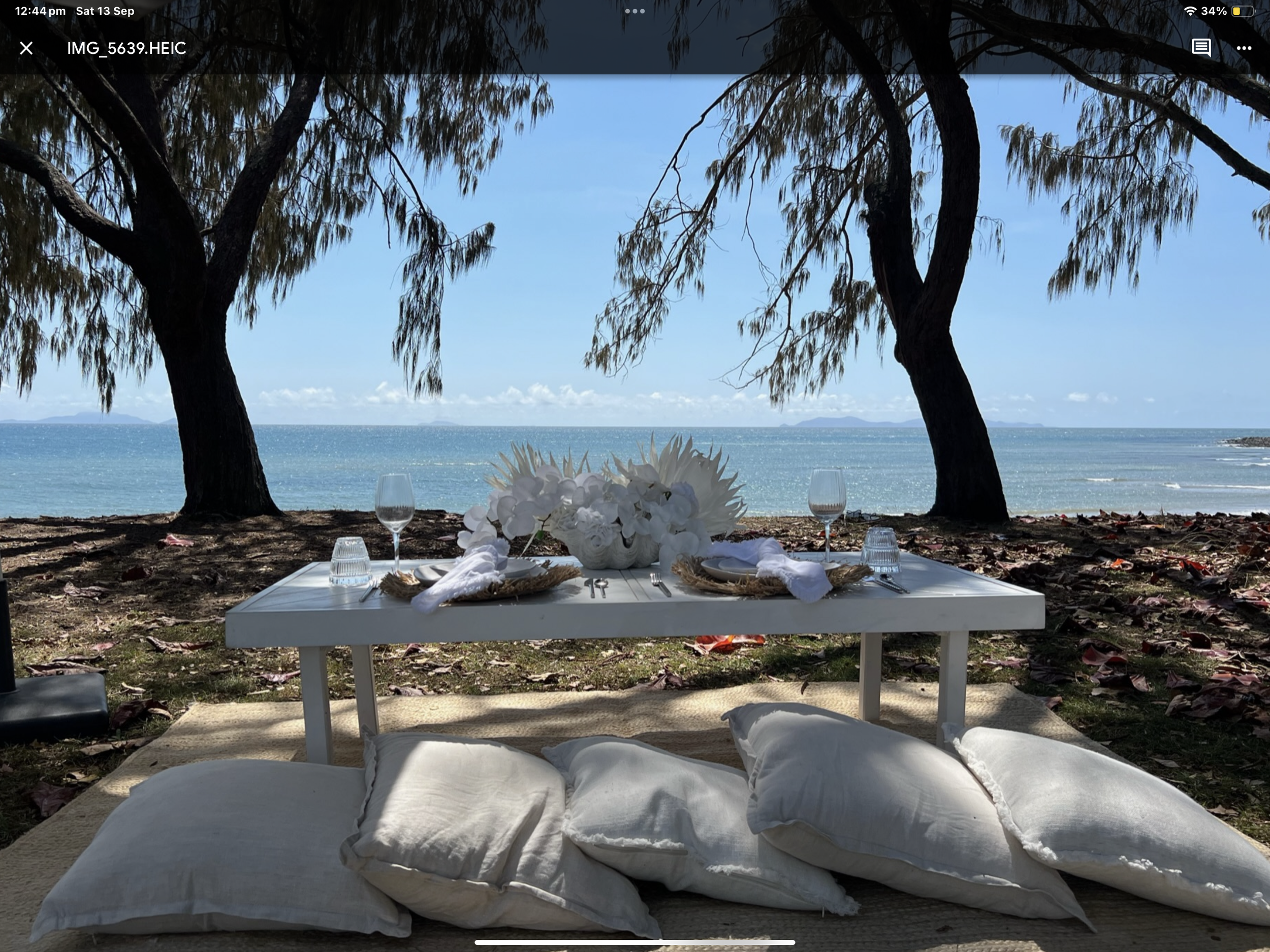 Beachside picnic setup with a white table, floral centerpiece, wine glasses, and pillows on the ground, shaded by trees with ocean view in the background.