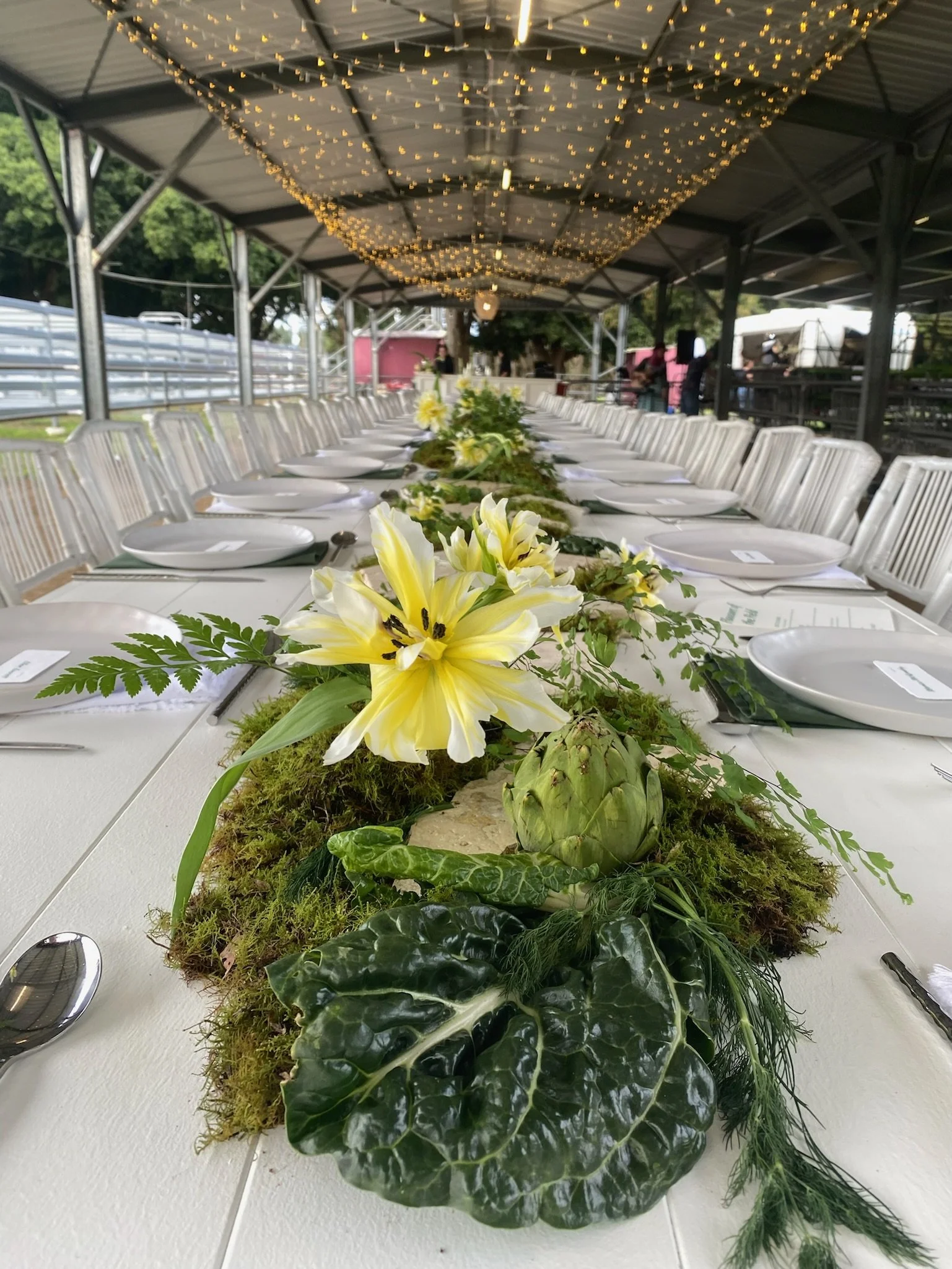 Long dining table with white plates and silverware, decorated with a green moss and foliage centerpiece with yellow flowers, under a metal canopy with string lights, set for an event.