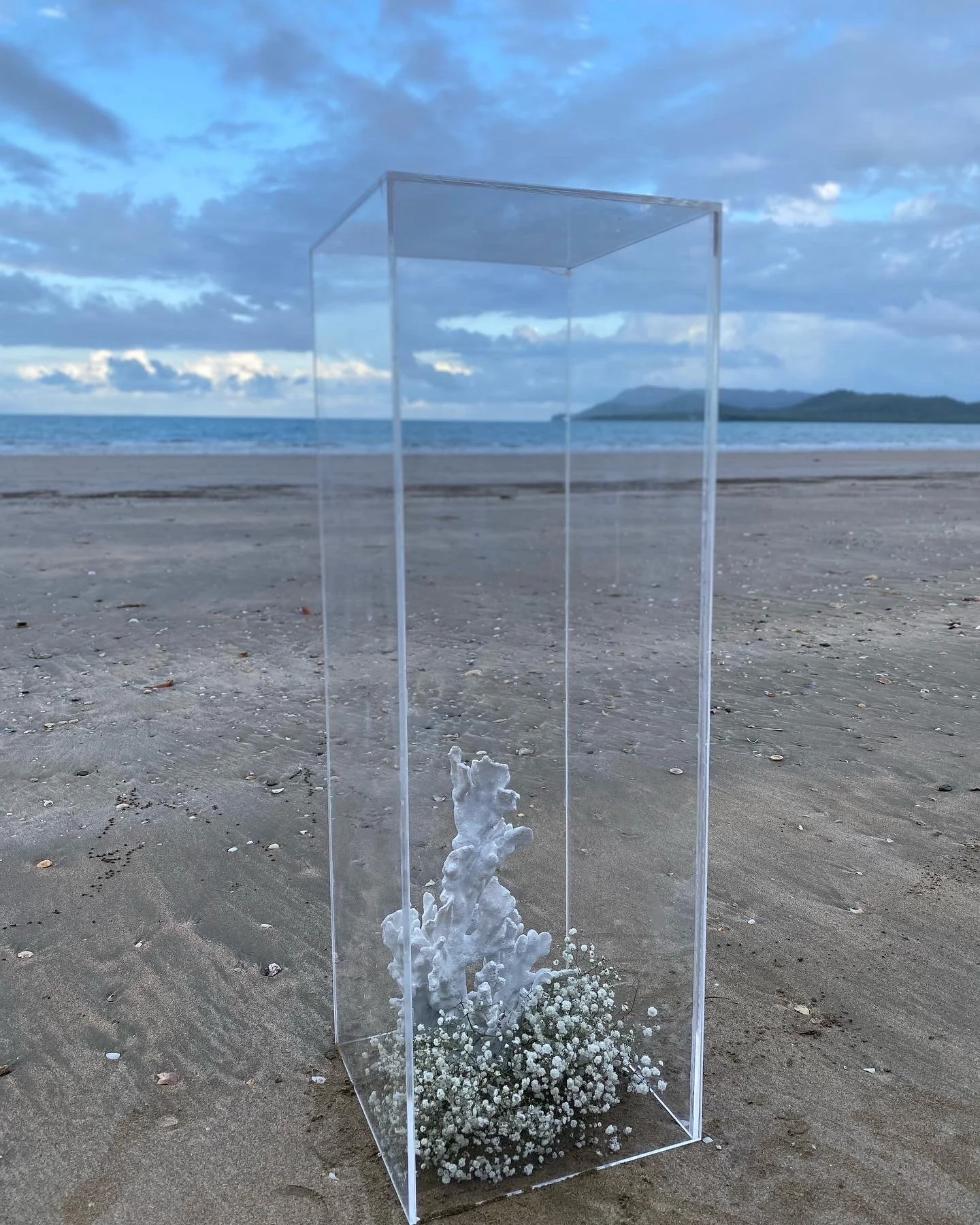 A clear acrylic display case with white foam and small white flowers inside, sitting on sandy beach with ocean, cloudy sky, and distant islands in the background.