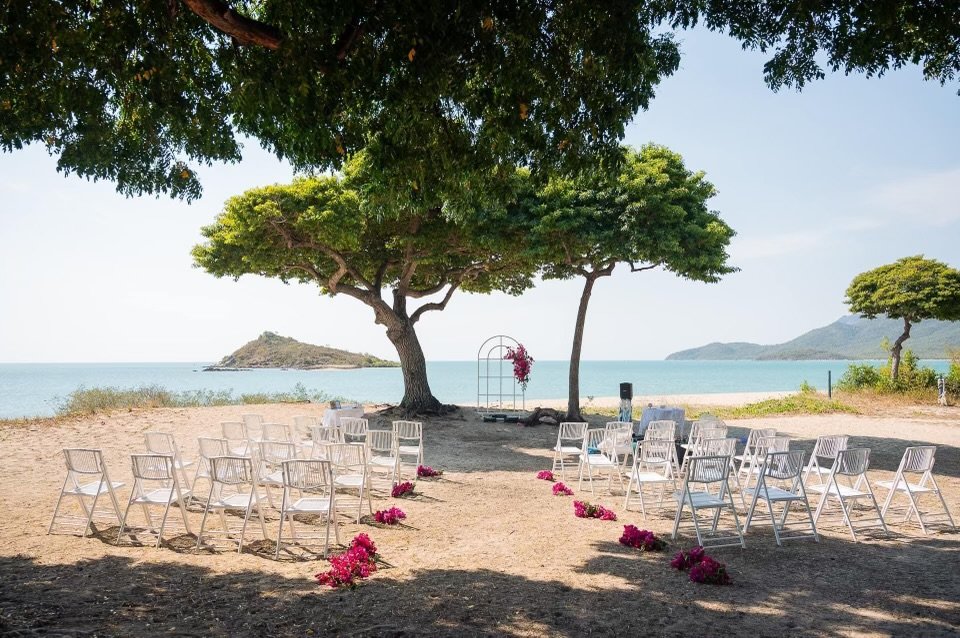 Outdoor beach wedding setup with white chairs arranged facing a floral arch under large trees, near the ocean with islands in the background.
