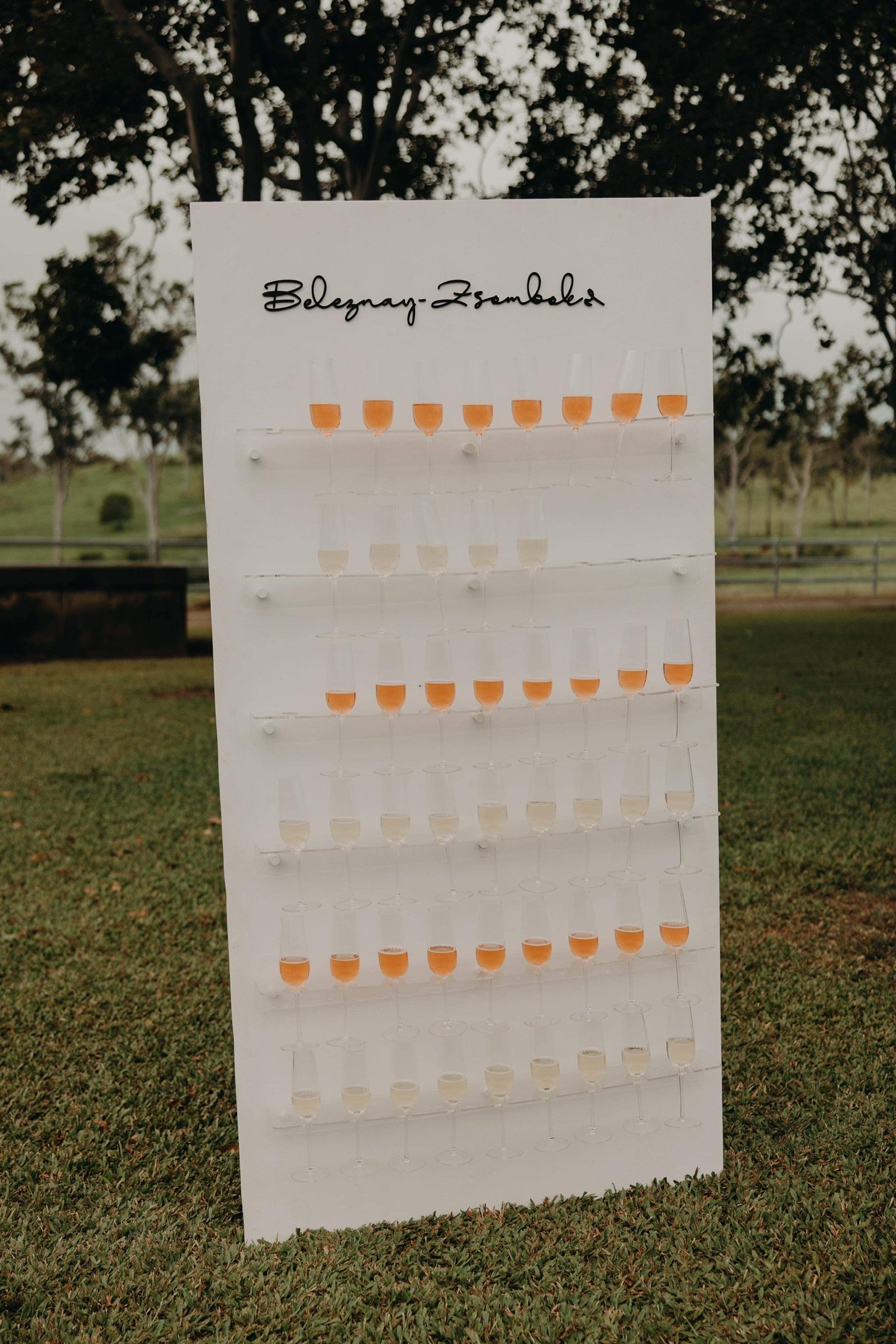 A white display board with multiple champagne glasses filled with beer, arranged in rows, on an outdoor grassy area with trees in the background.